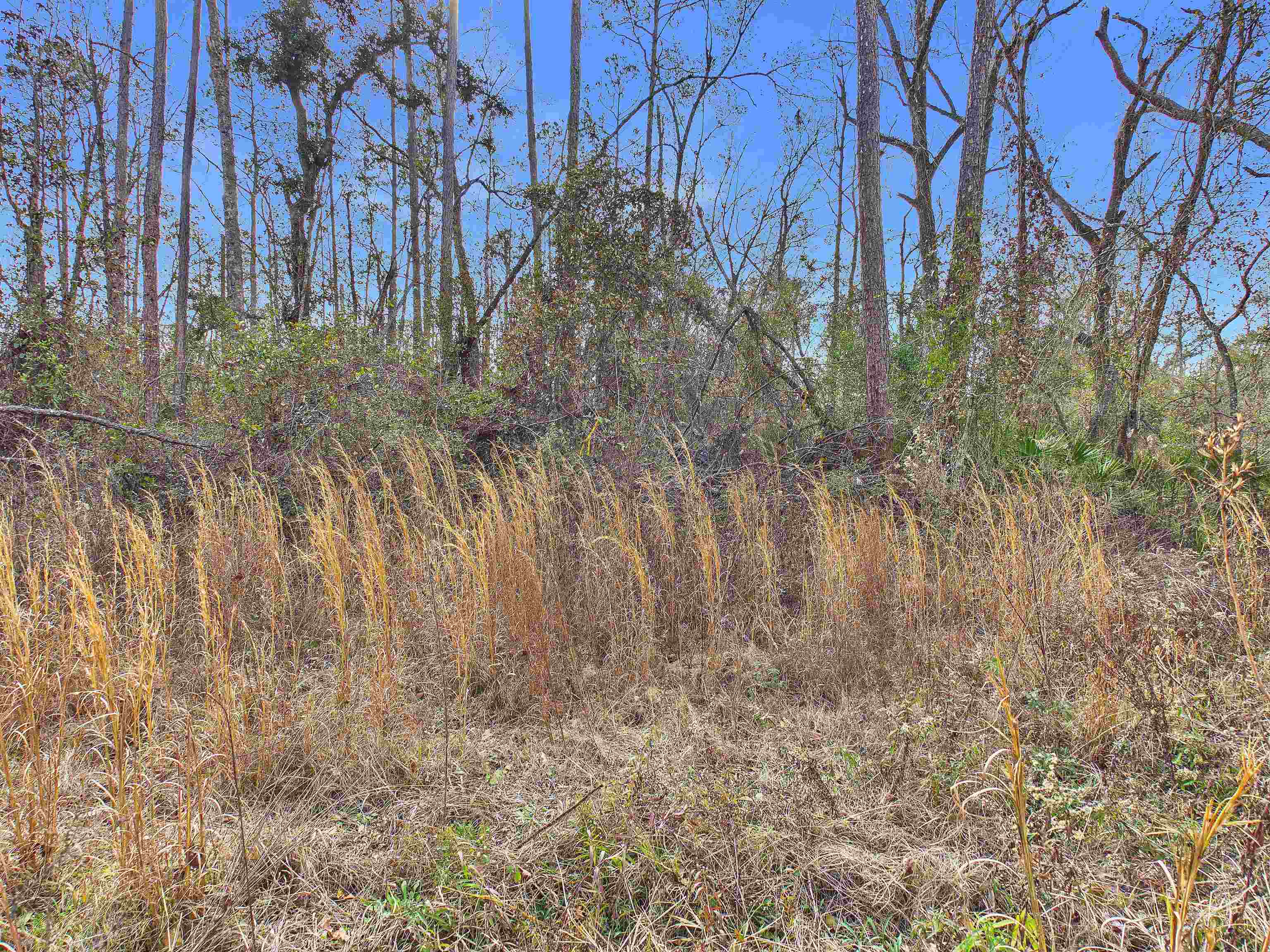 Vacant Northeast River Park Road Lee, FL 32059 - Photo 12 of 18