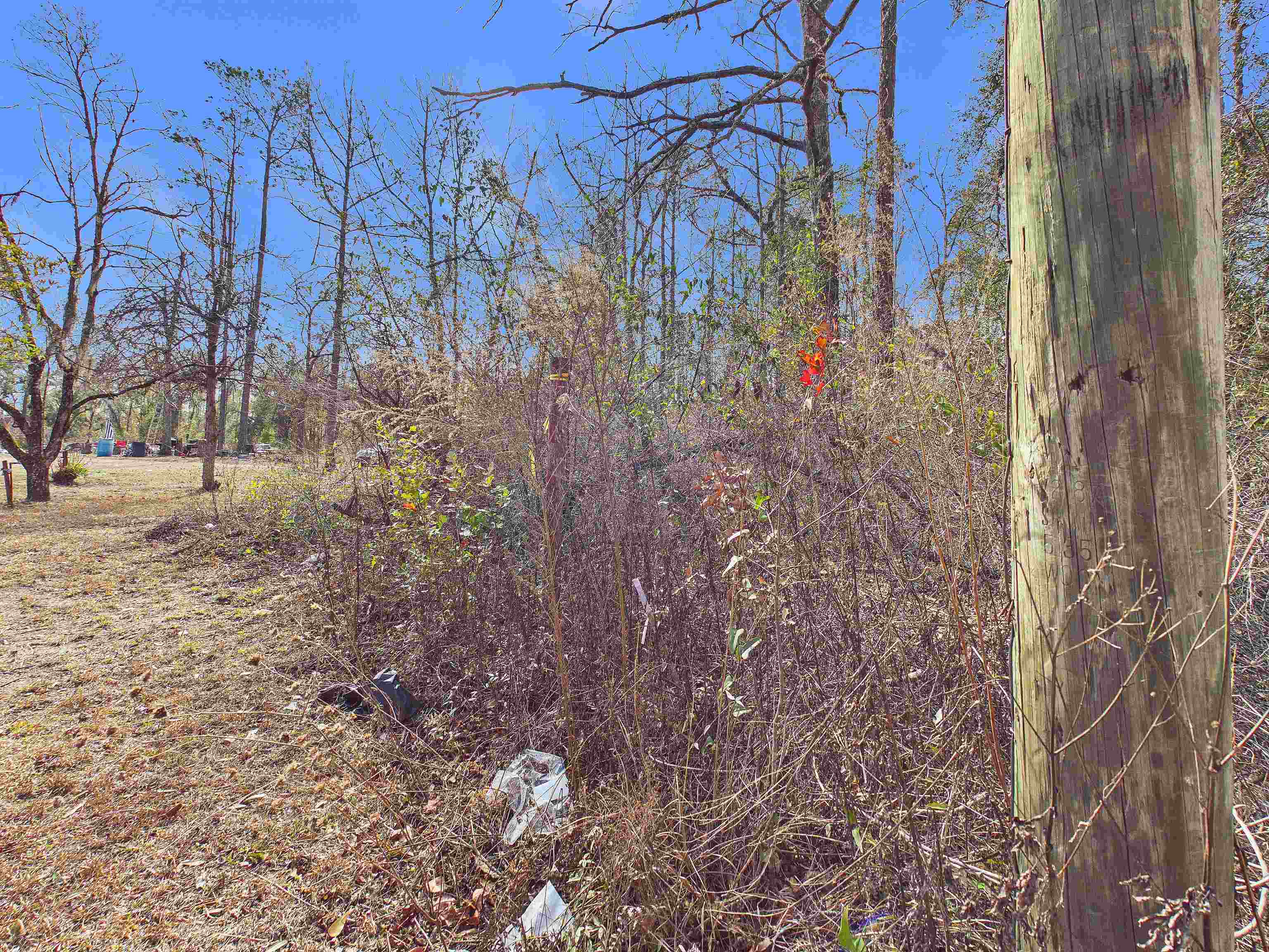 Vacant Northeast River Park Road Lee, FL 32059 - Photo 13 of 18