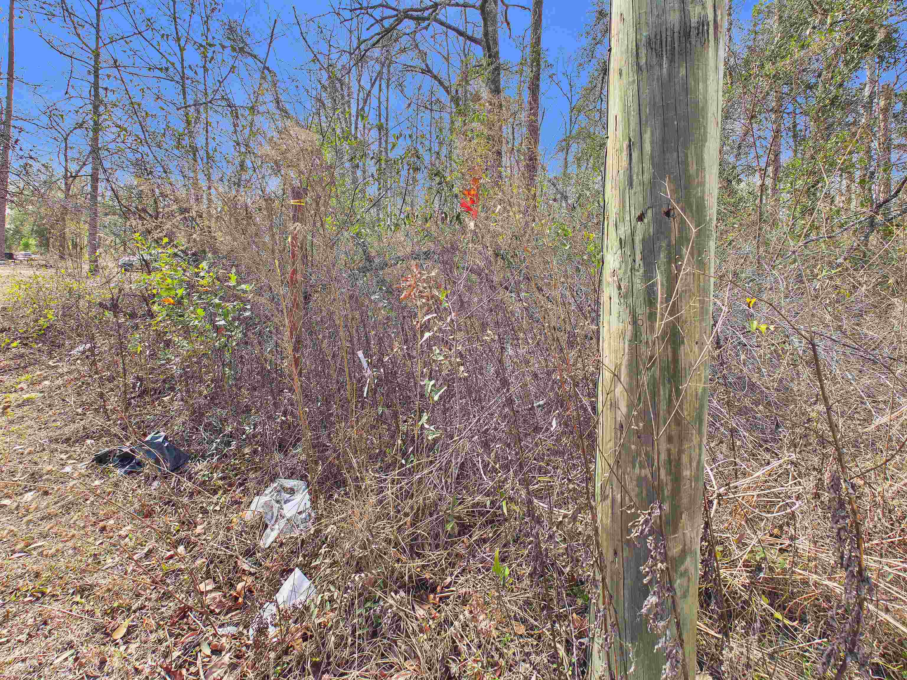 Vacant Northeast River Park Road Lee, FL 32059 - Photo 14 of 18