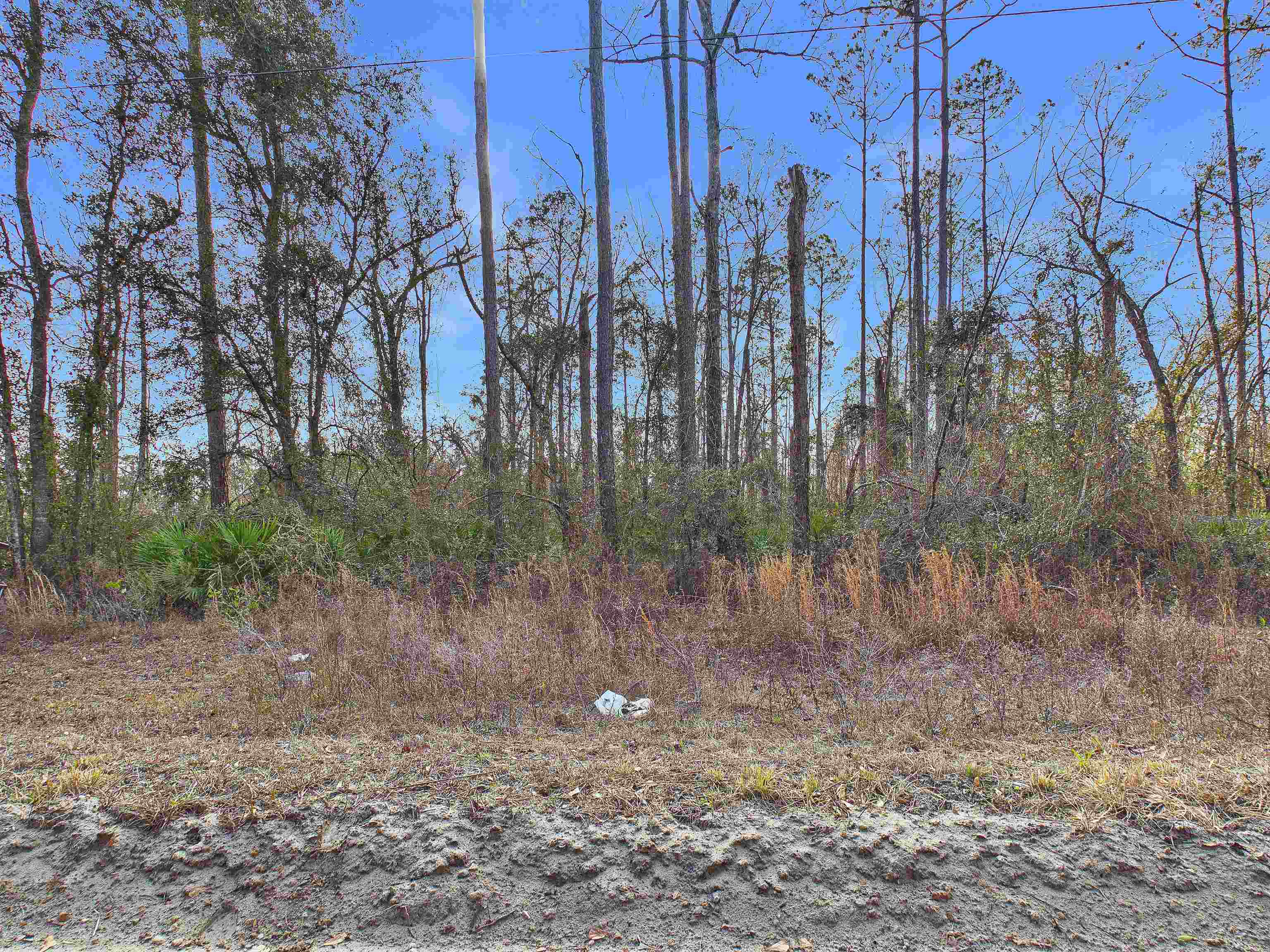 Vacant Northeast River Park Road Lee, FL 32059 - Photo 2 of 18