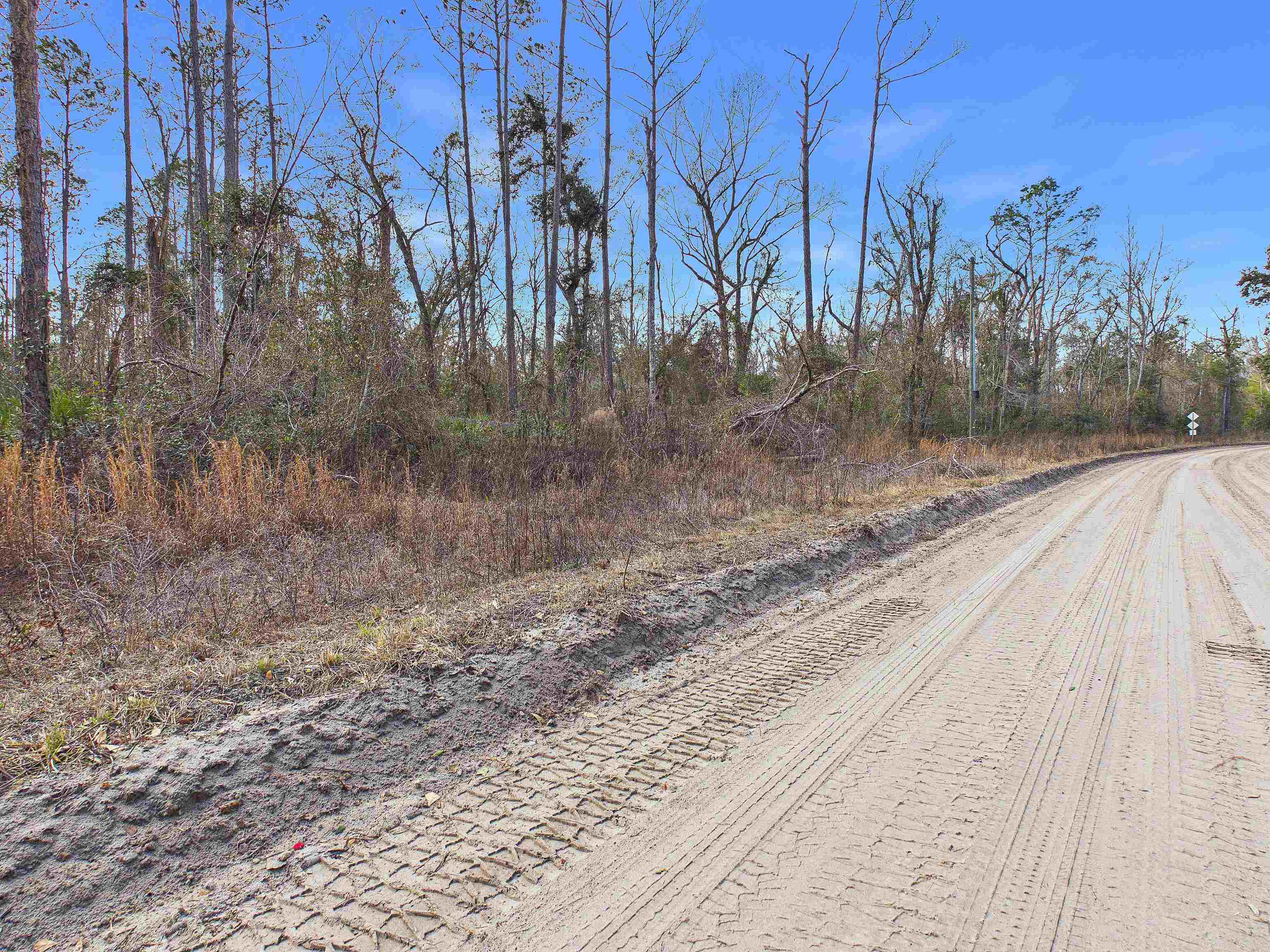 Vacant Northeast River Park Road Lee, FL 32059 - Photo 5 of 18