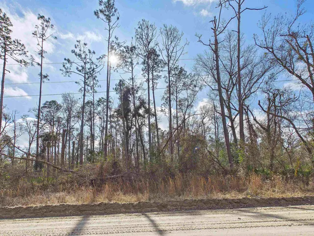 $24,900 | Vacant Northeast River Park Road, Lee, FL 32059