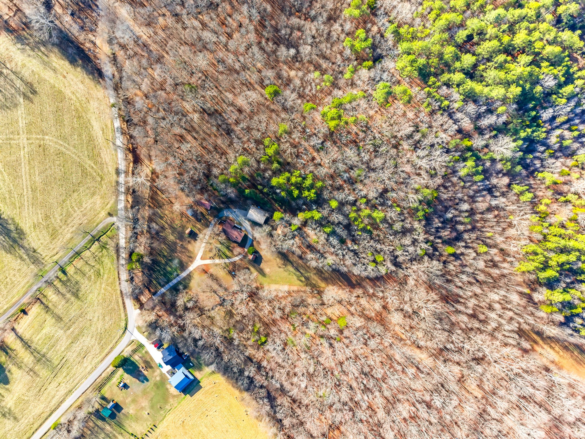 160 Terrapin Run Road Dover, TN 37058 - Photo 34 of 37 a picture of a tree