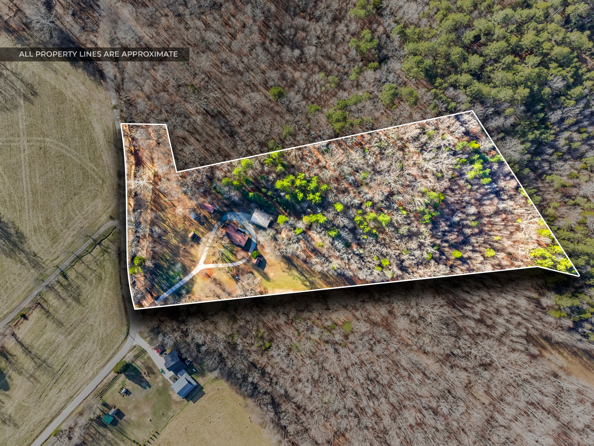 160 Terrapin Run Road Dover, TN 37058 - Photo 37 of 37