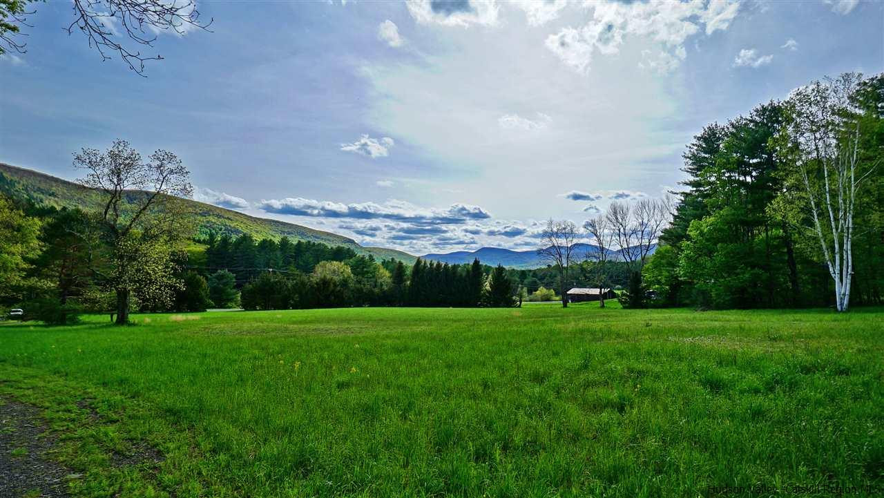 772 Wittenberg Road Mount Tremper, NY 12457 - Photo 4 of 35 Photo 4