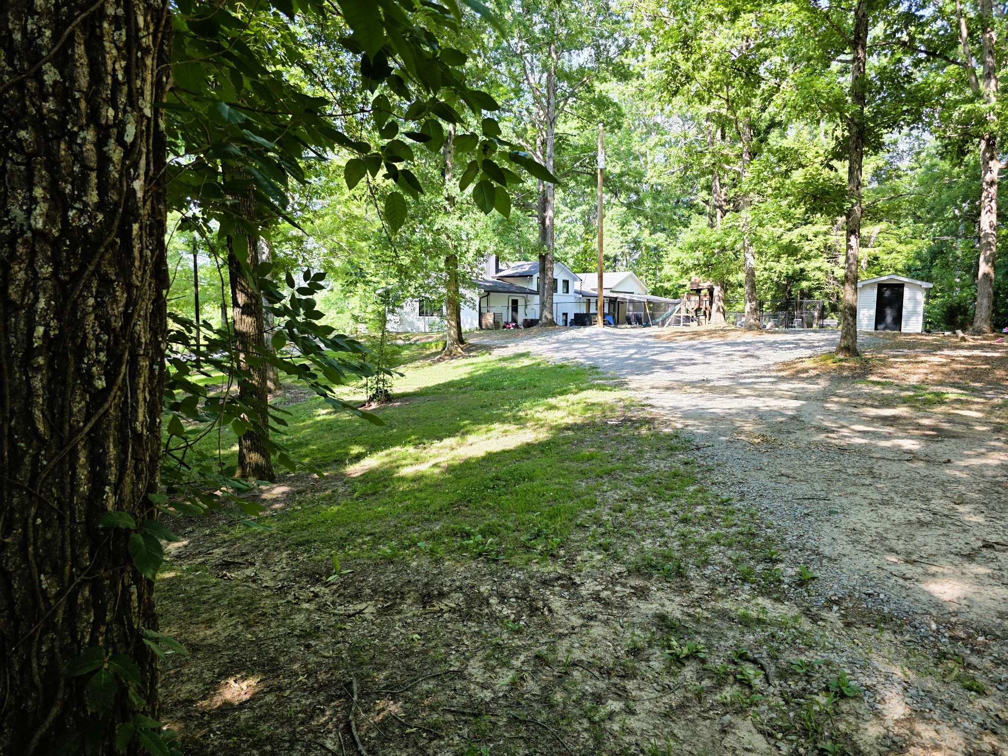 1975 Kelly Road Holladay, TN 38341 - Photo 83 of 95 a view of a yard with plants and trees