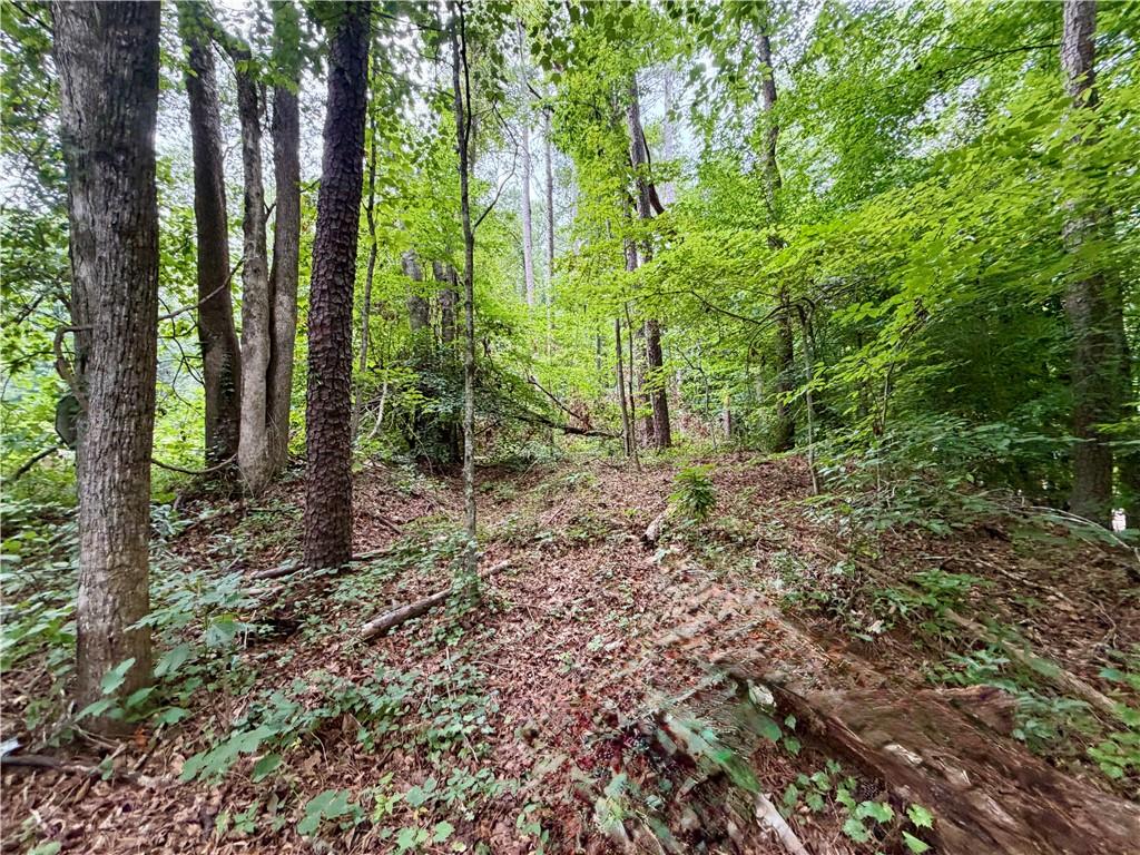 4824 Flakes Mill Road Ellenwood, GA 30294 - Photo 7 of 10 Gallery Image 7