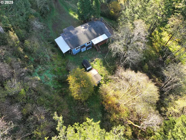an aerial view of a house with a yard and large trees
