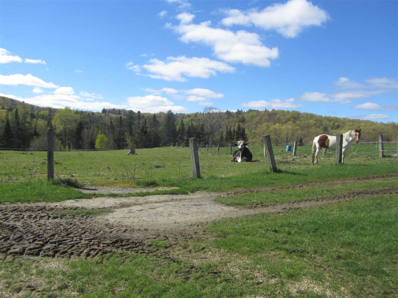 662 Taylor Valley Road Vershire, VT 05079 - Photo 23 of 24
