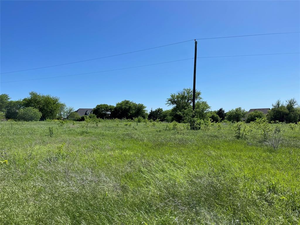 0 Mc Alpin Road Midlothian, TX 76065 - Photo 4 of 22 a backyard of a house with lots of green space