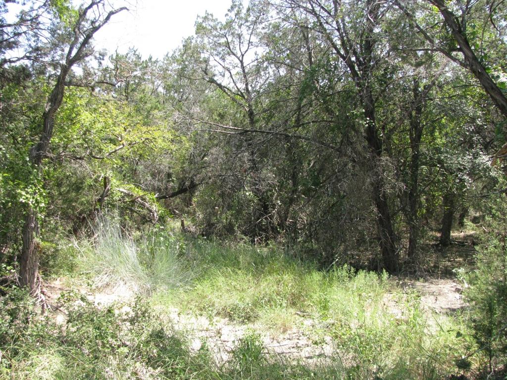 Lot 11-ph Private Road Evant, TX 76525 - Photo 11 of 18 a view of a yard