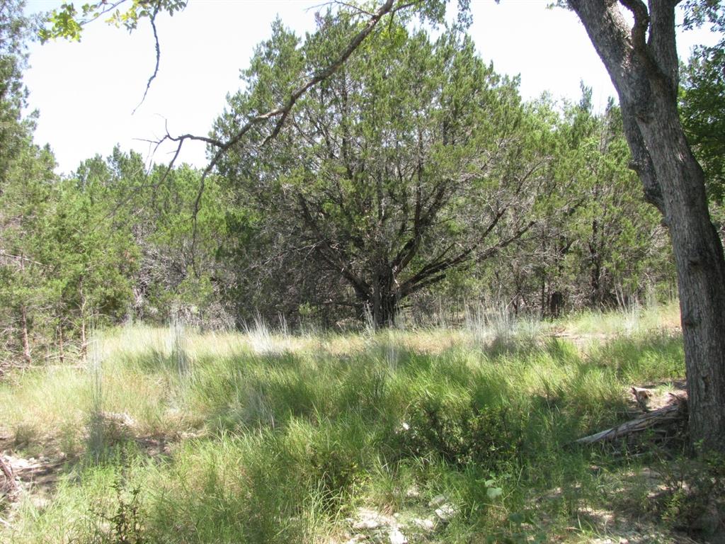 Lot 11-ph Private Road Evant, TX 76525 - Photo 12 of 18 a view of lake with green space
