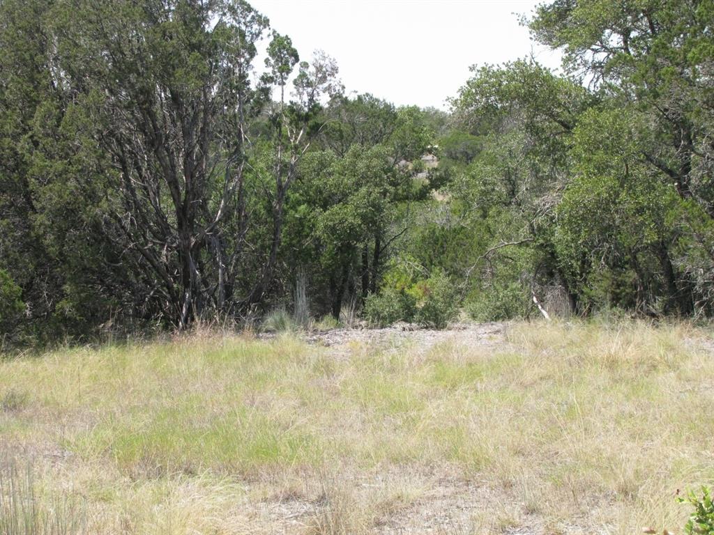 Lot 11-ph Private Road Evant, TX 76525 - Photo 5 of 18 a view of a yard with a tree