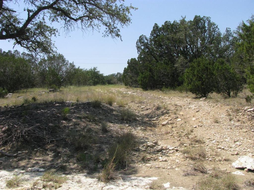 Lot 11-ph Private Road Evant, TX 76525 - Photo 9 of 18 a view of a yard with a tree