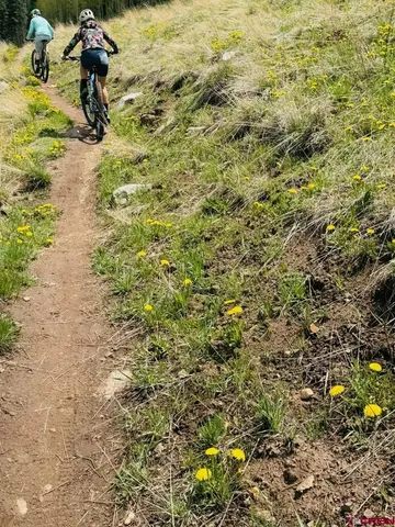 $419,000 | 166 Yankee Girl Court, Unit 302, Durango, CO 81301