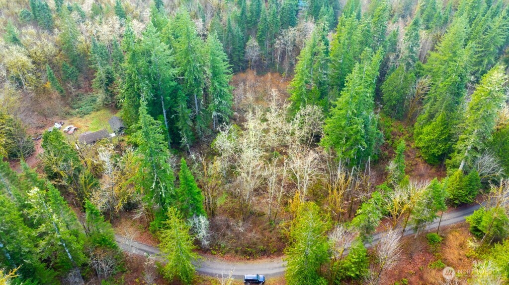 453 Rice Lake Road Quilcene, WA 98376 - Photo 3 of 6