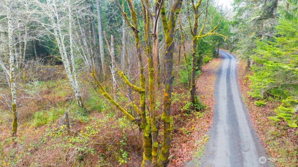 453 Rice Lake Road Quilcene, WA 98376 - Photo 4 of 6