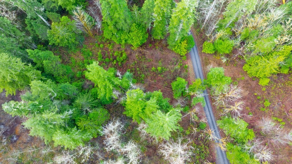 453 Rice Lake Road Quilcene, WA 98376 - Photo 5 of 6