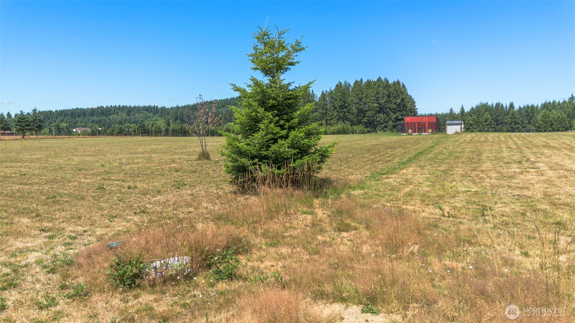 177 Nelson Road Winlock, WA 98596 - Photo 14 of 23 Gallery Image 14