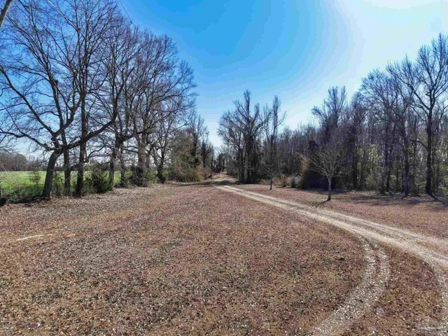 a view of outdoor space with trees