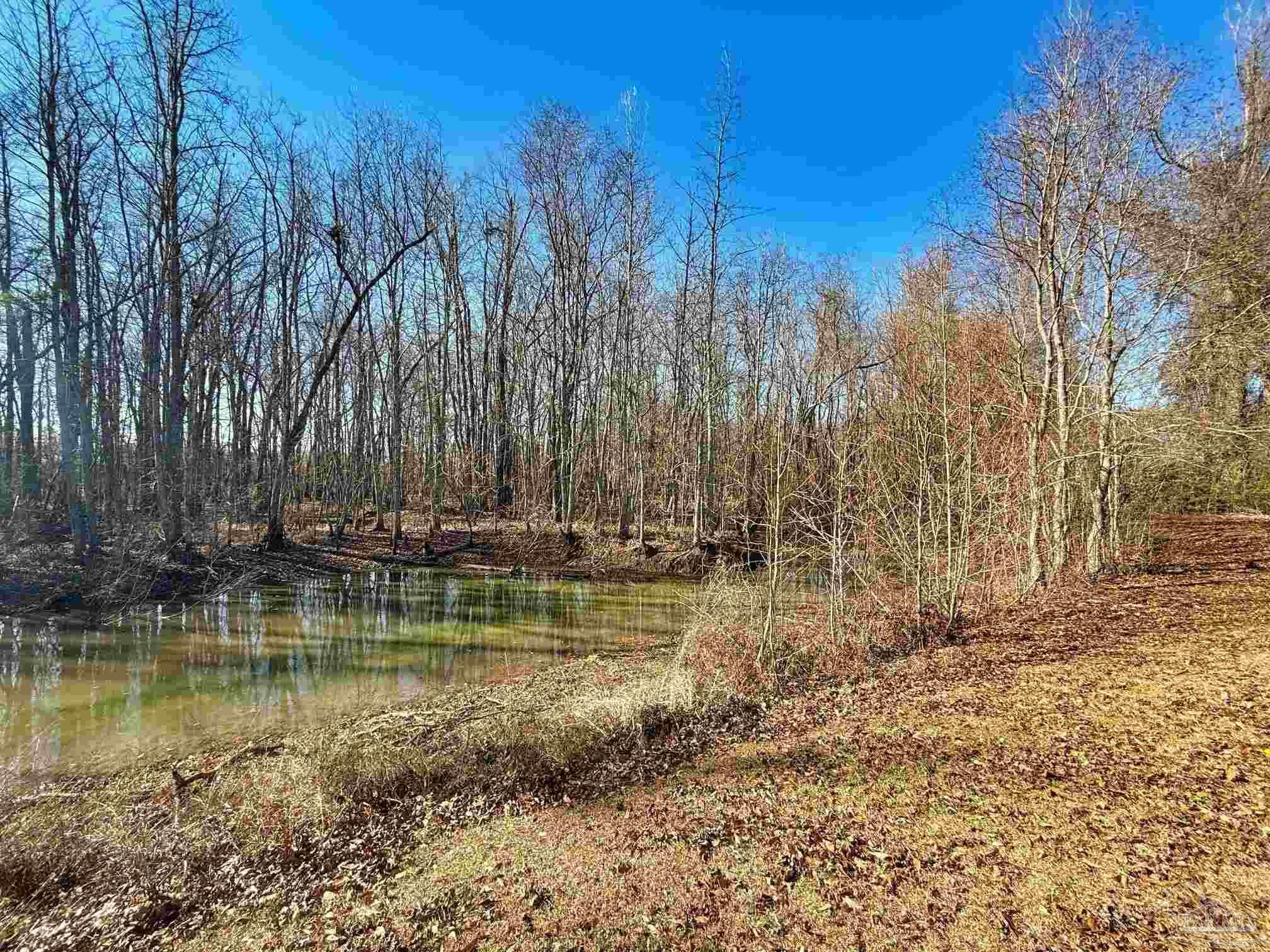 3401 Rocky Road Jay, FL 32565 - Photo 36 of 45 a view of a lake with trees