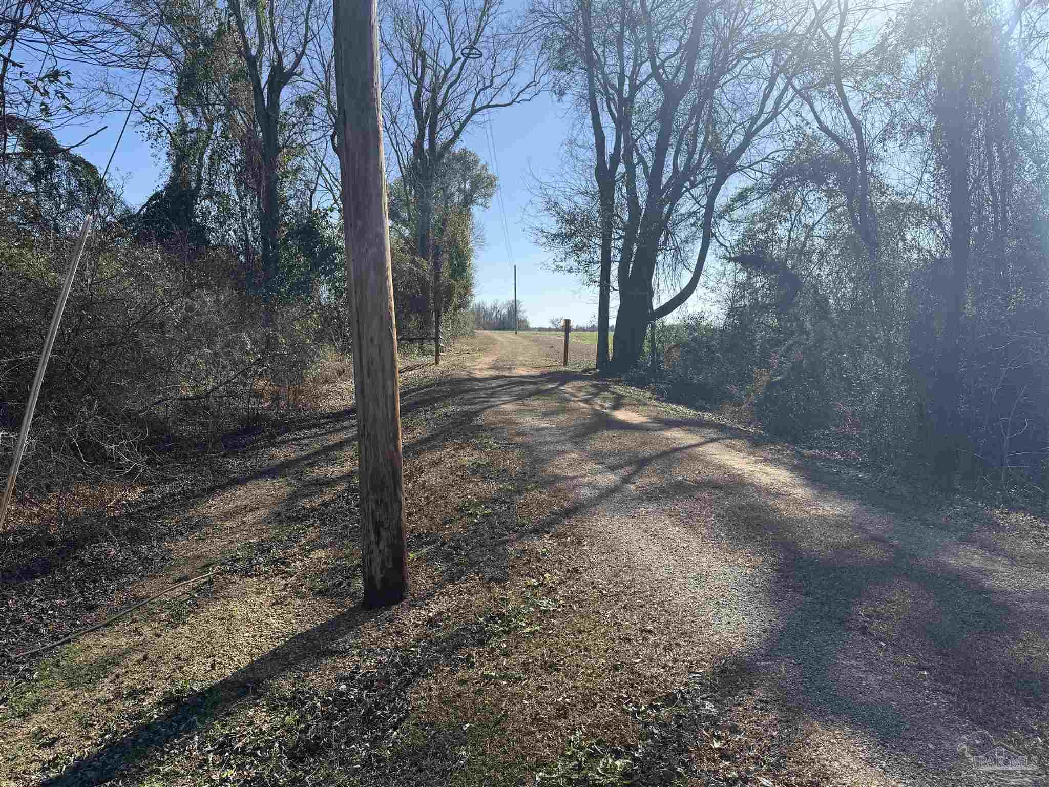 3401 Rocky Road Jay, FL 32565 - Photo 40 of 45 a view of a yard with plants and trees