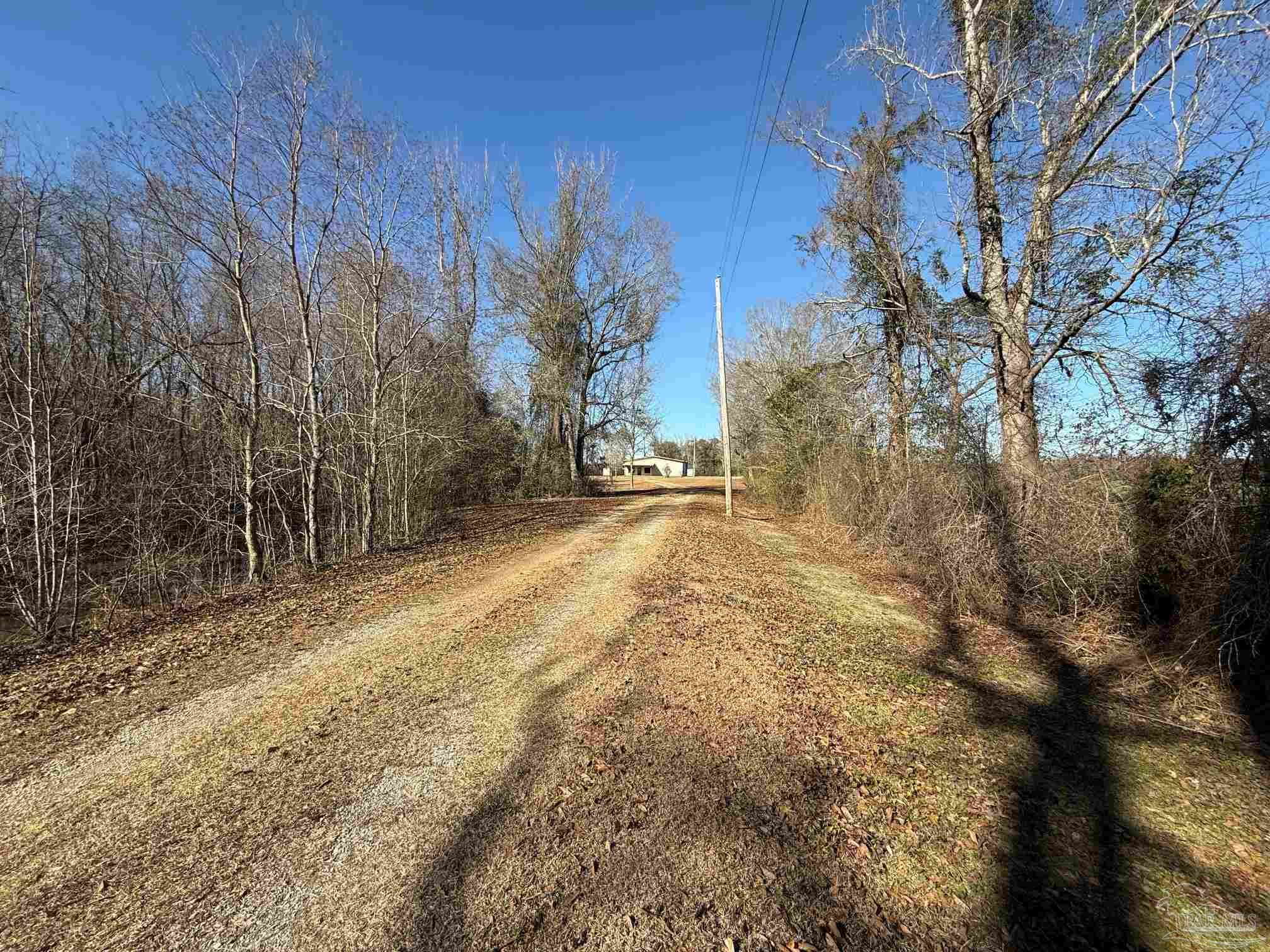 3401 Rocky Road Jay, FL 32565 - Photo 45 of 49 a view of a yard with trees