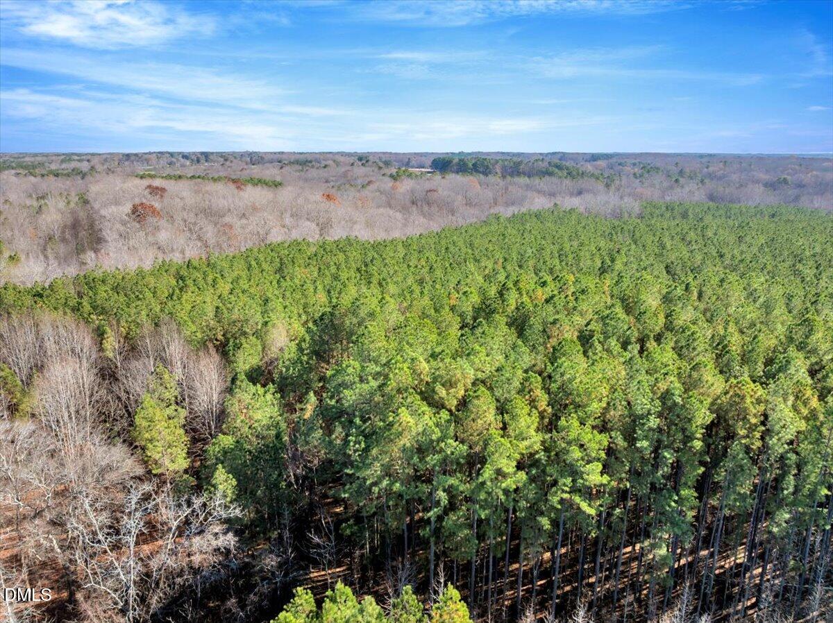 0 Tommie Daniel Road Oxford, NC 27565 - Photo 11 of 72 a view of a lake with a yard