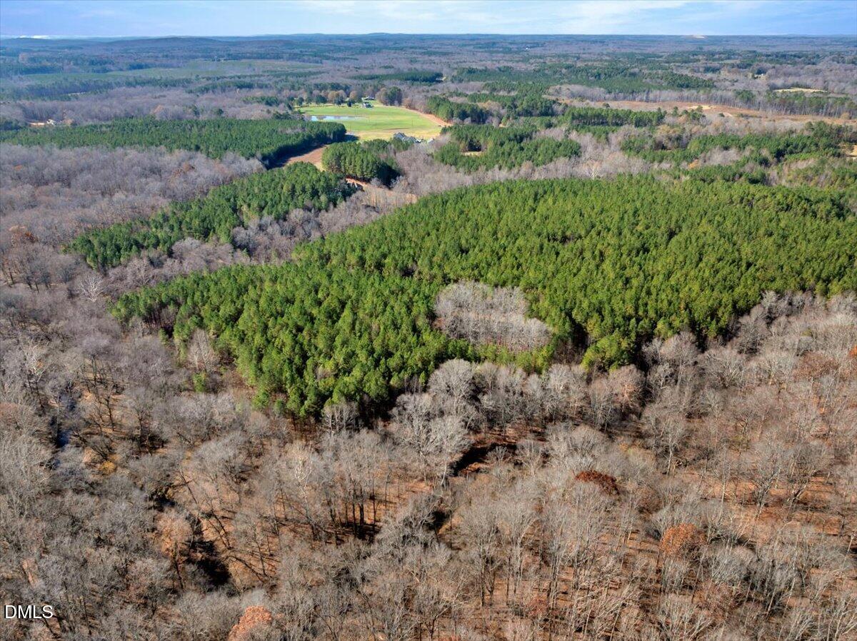 0 Tommie Daniel Road Oxford, NC 27565 - Photo 13 of 72 a view of a lush green forest with lots of trees