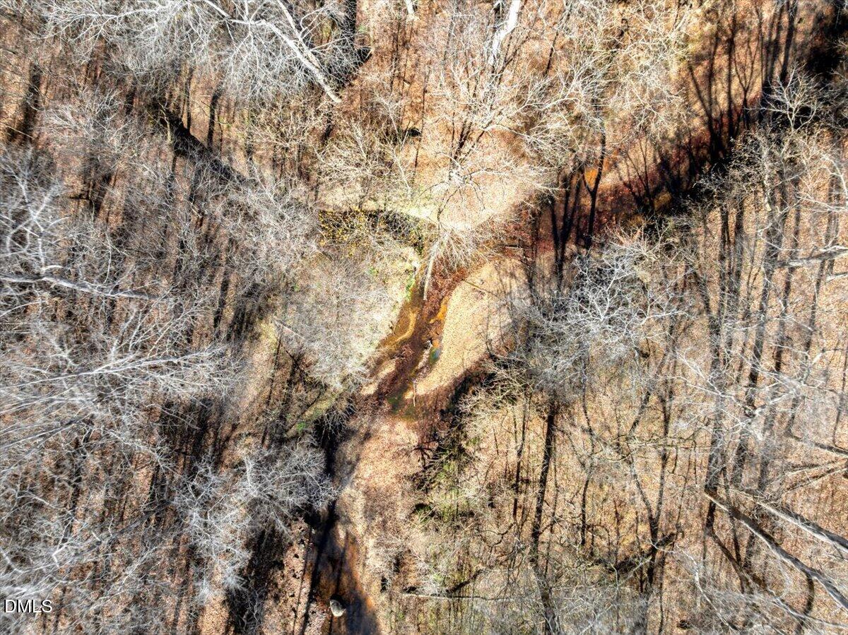 0 Tommie Daniel Road Oxford, NC 27565 - Photo 15 of 72 a view of a forest with a tree