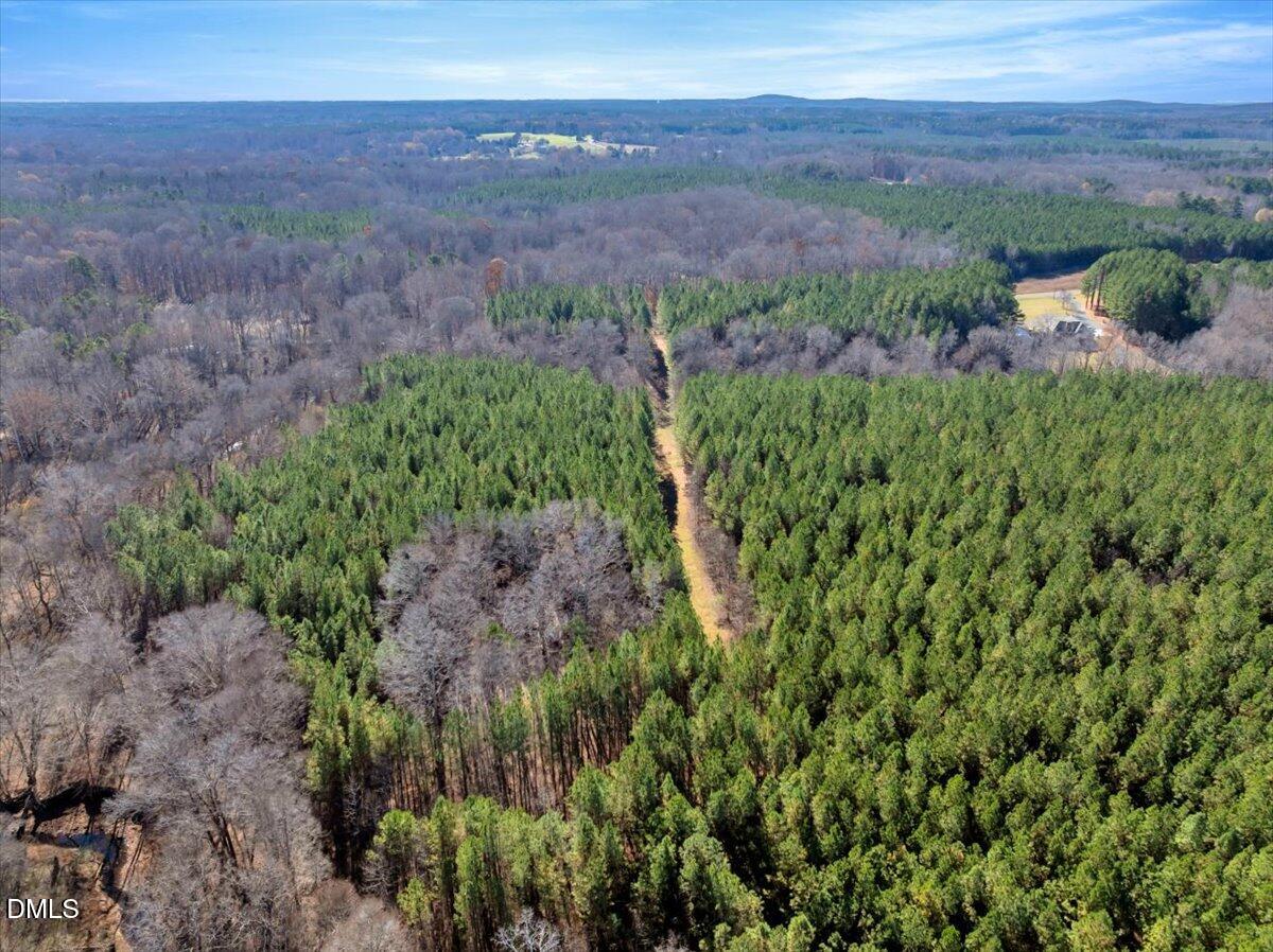 0 Tommie Daniel Road Oxford, NC 27565 - Photo 18 of 72 a view of a bunch of trees and bushes