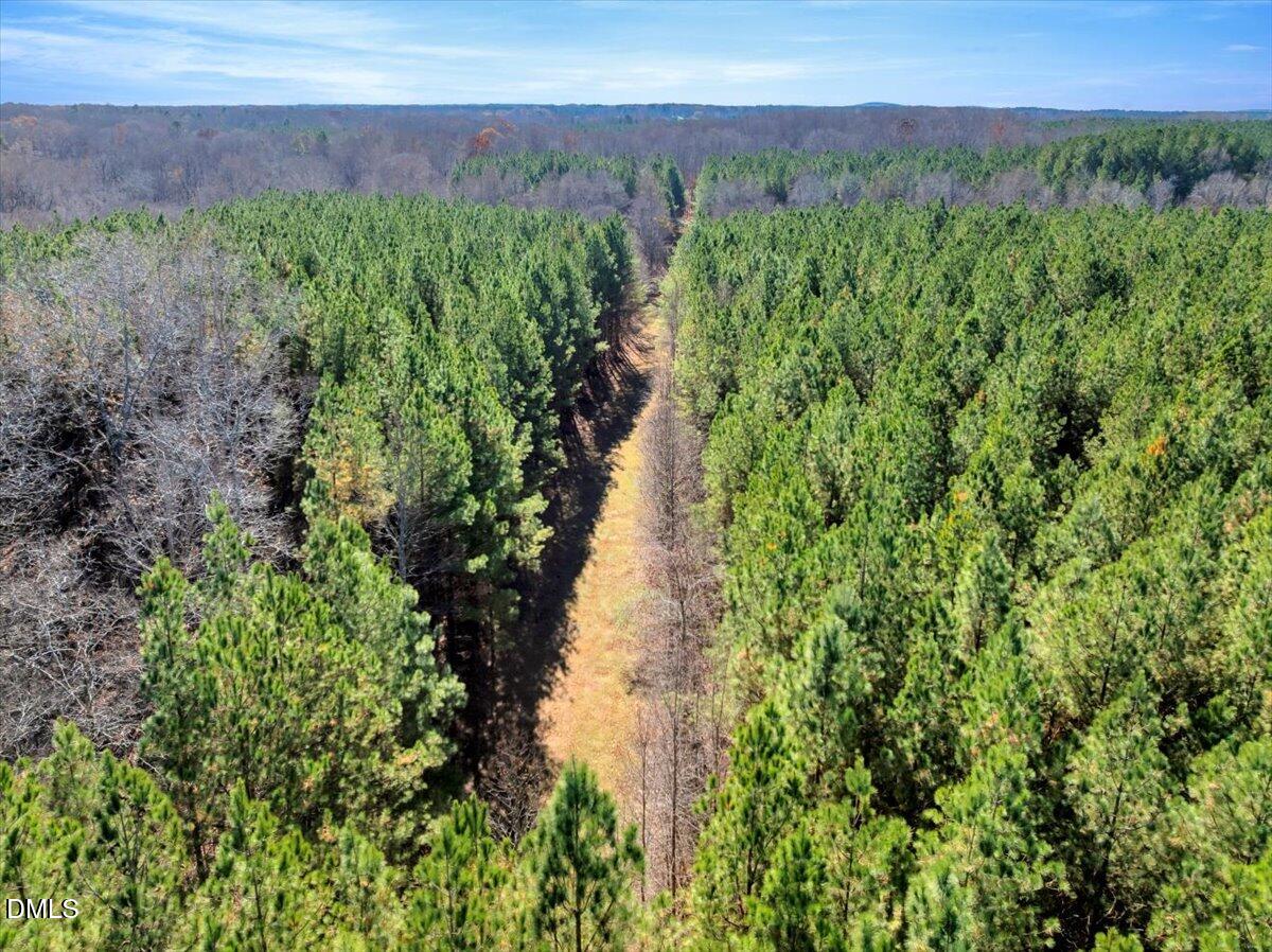 0 Tommie Daniel Road Oxford, NC 27565 - Photo 20 of 72 a view of a lush green forest with a building in the back