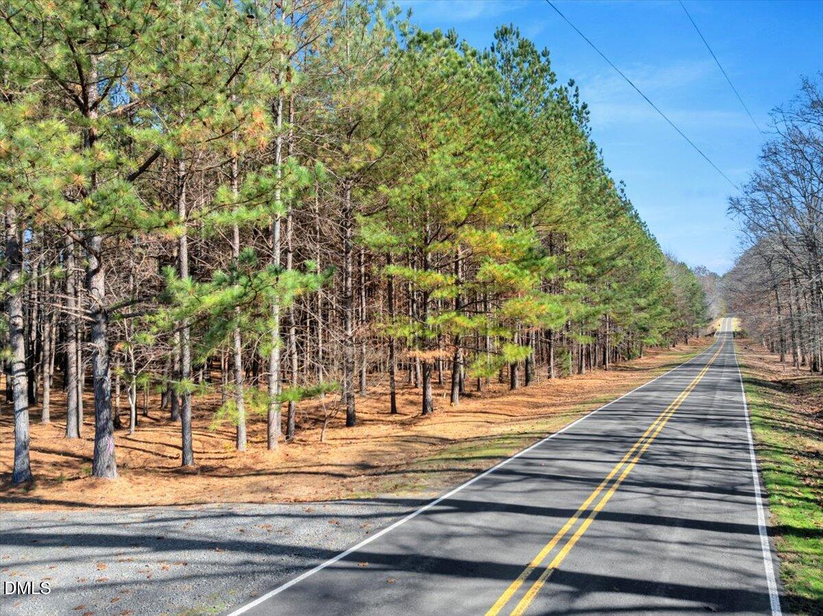 0 Tommie Daniel Road Oxford, NC 27565 - Photo 2 of 72 a view of yard with large trees