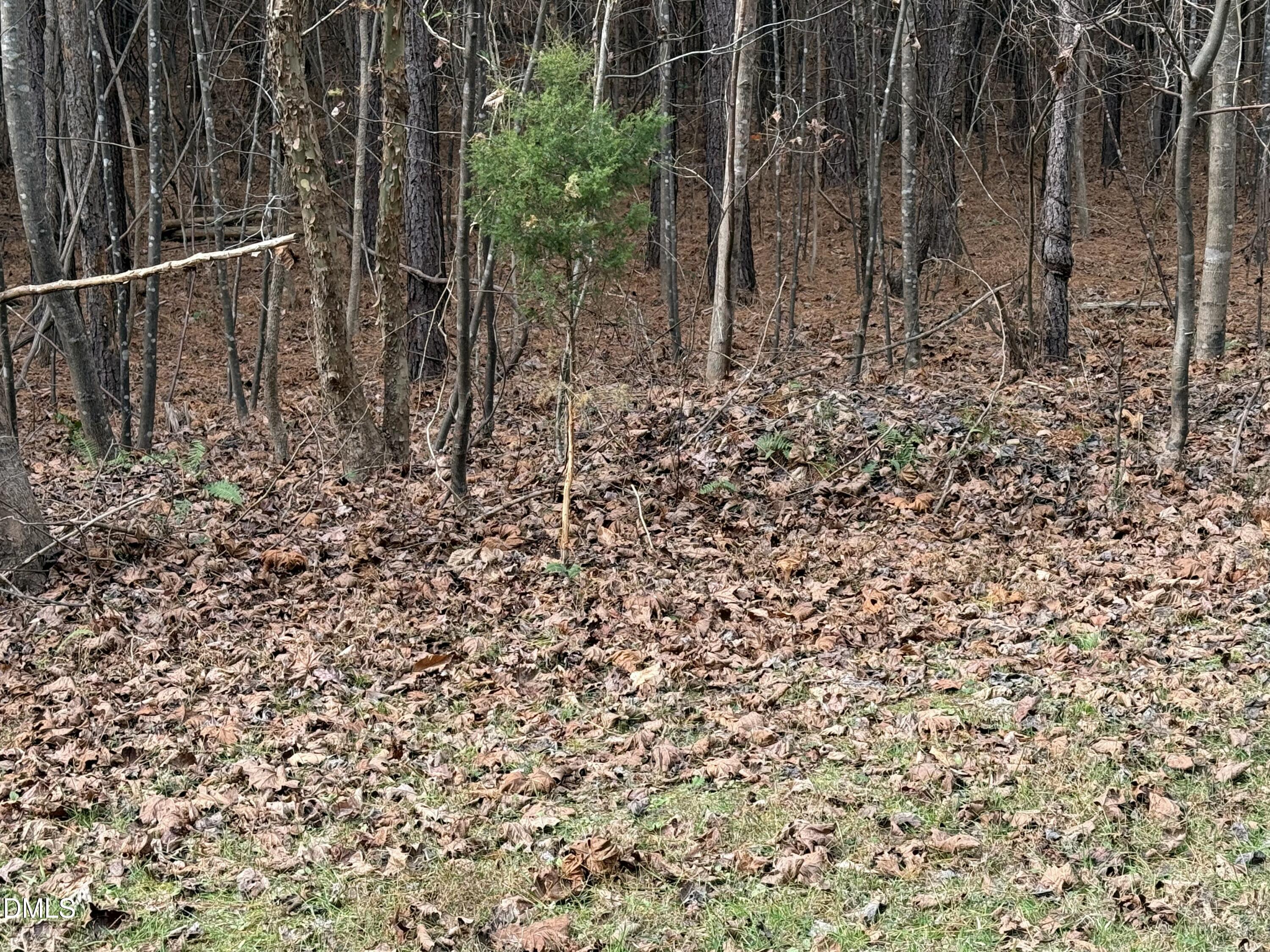 0 Tommie Daniel Road Oxford, NC 27565 - Photo 21 of 72 a view of small space with a garden