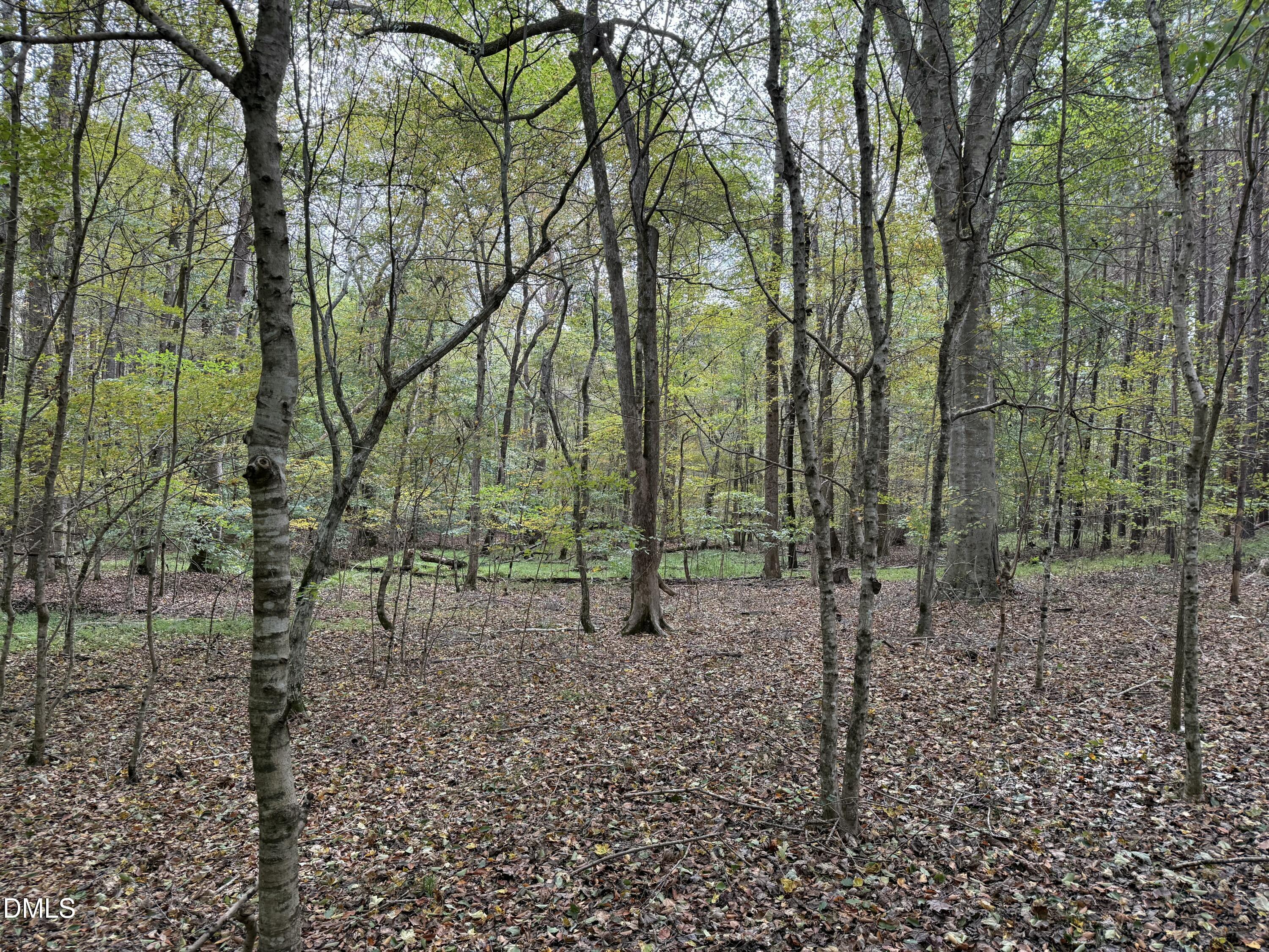 0 Tommie Daniel Road Oxford, NC 27565 - Photo 22 of 72 IMG_2156