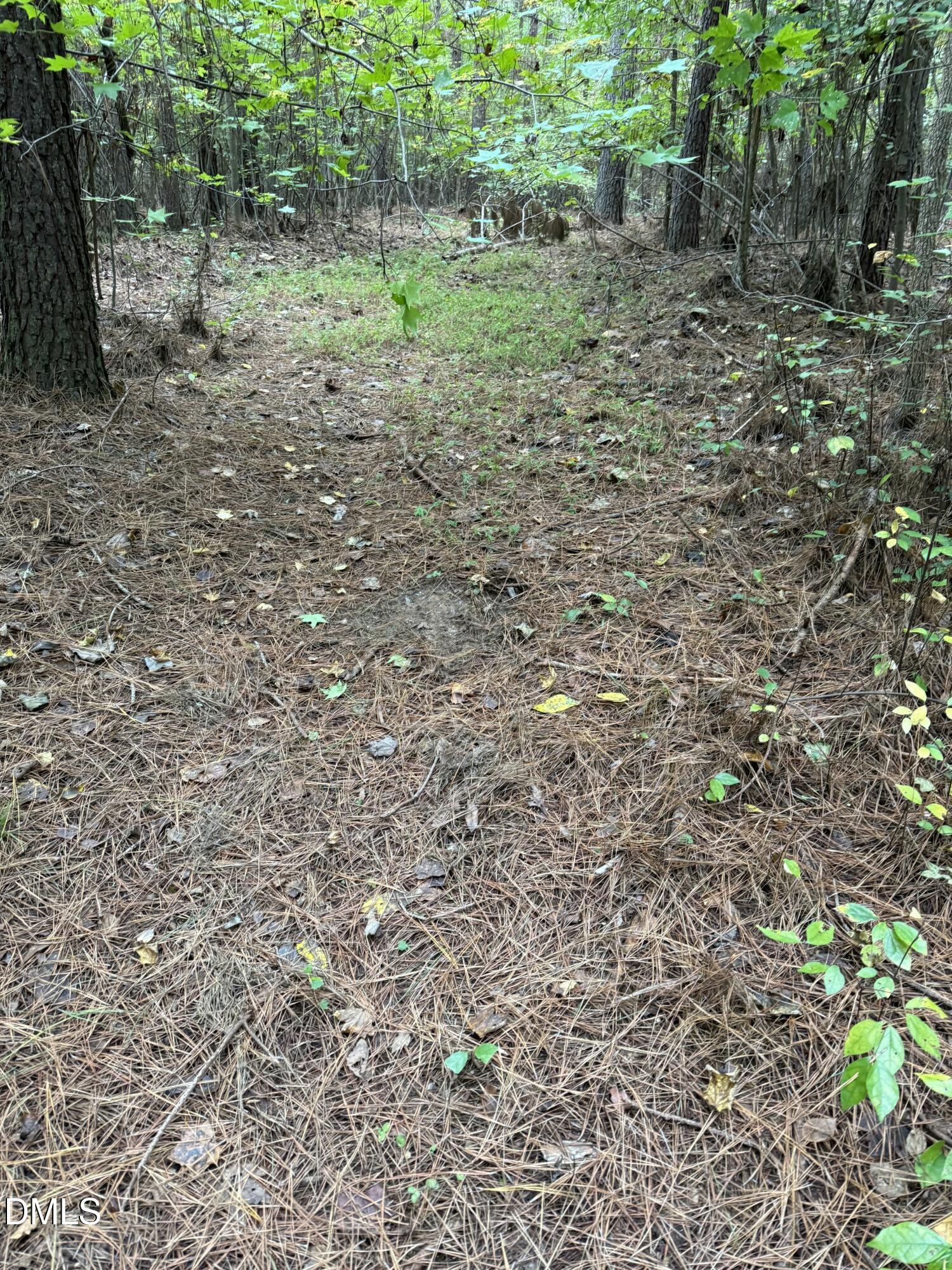 0 Tommie Daniel Road Oxford, NC 27565 - Photo 24 of 72 a view of a yard with a tree
