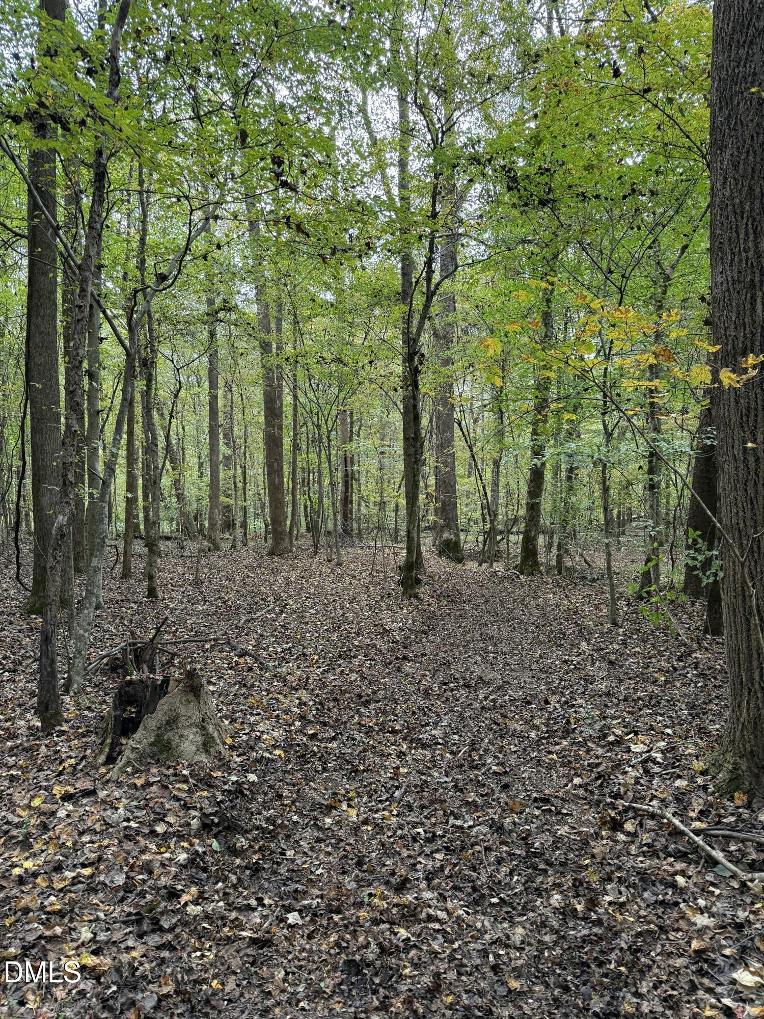 0 Tommie Daniel Road Oxford, NC 27565 - Photo 25 of 72 a view of a forest with trees in the background