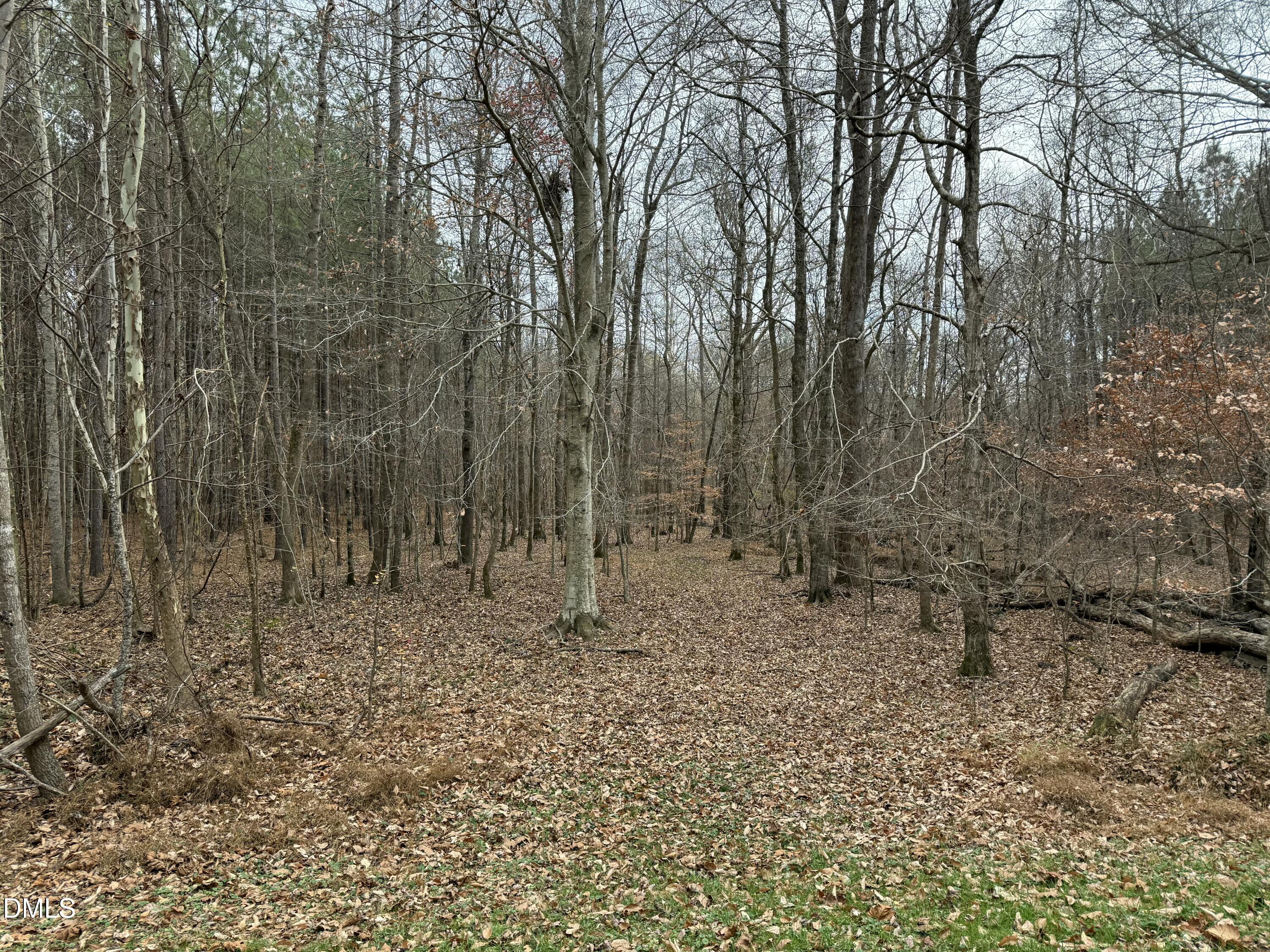 0 Tommie Daniel Road Oxford, NC 27565 - Photo 27 of 72 a view of a dry yard with trees