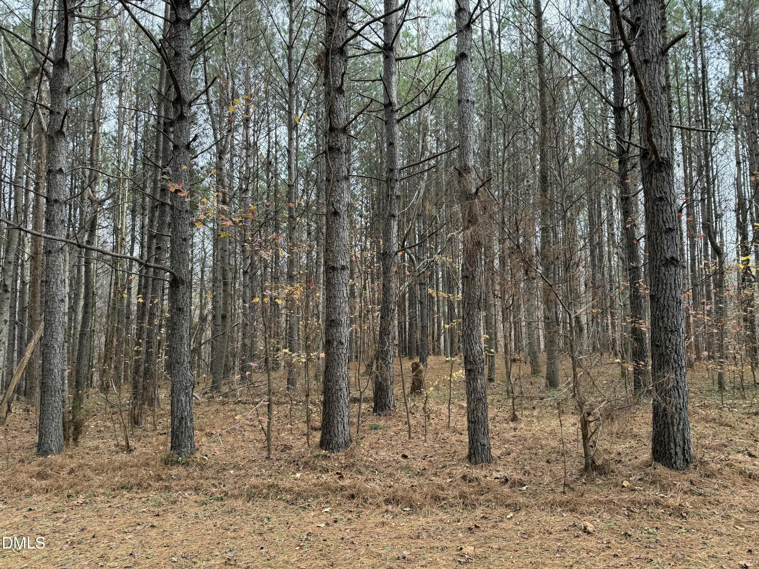 0 Tommie Daniel Road Oxford, NC 27565 - Photo 28 of 72 a backyard of a house