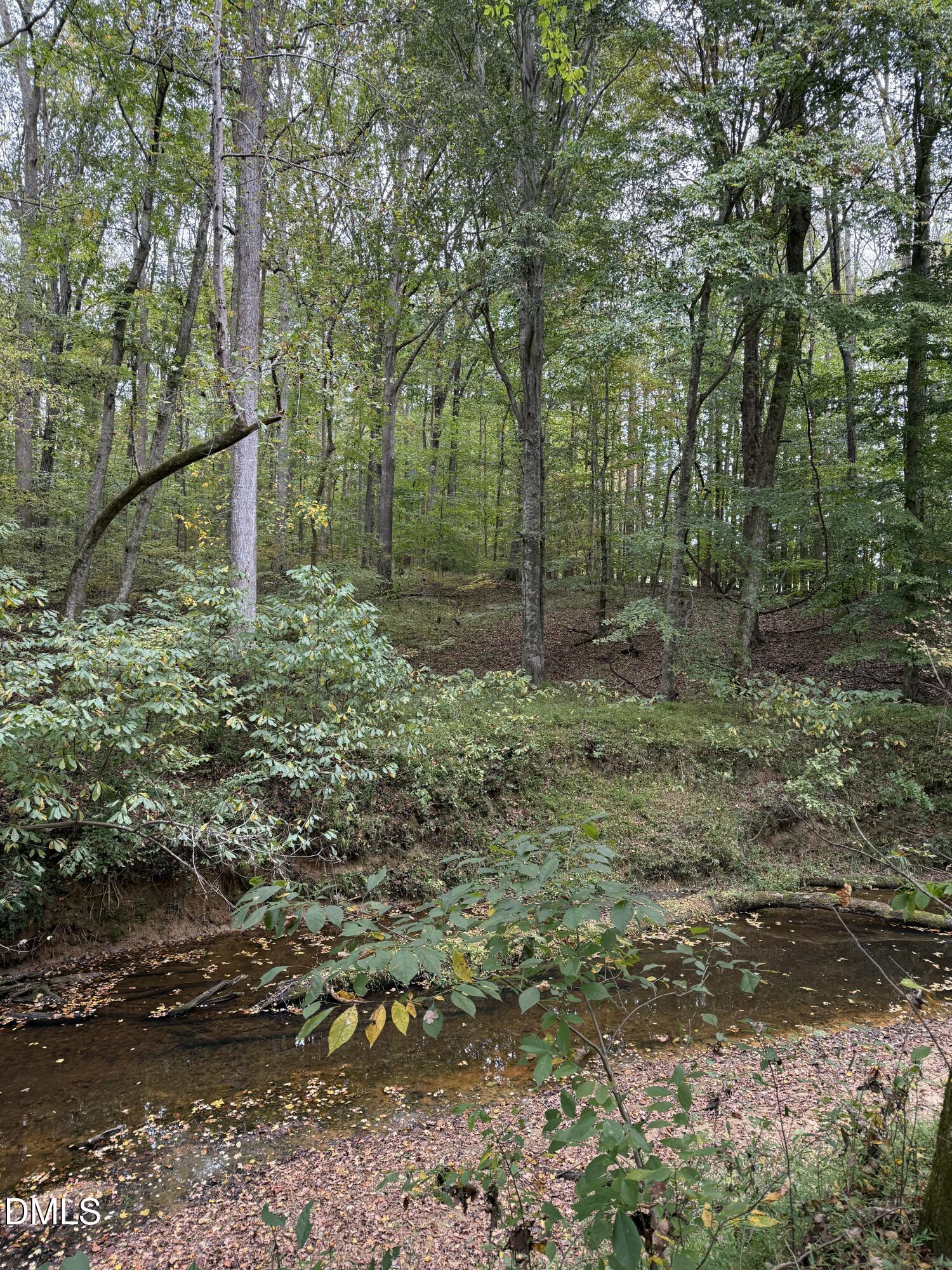 0 Tommie Daniel Road Oxford, NC 27565 - Photo 29 of 72 a view of outdoor space and green space