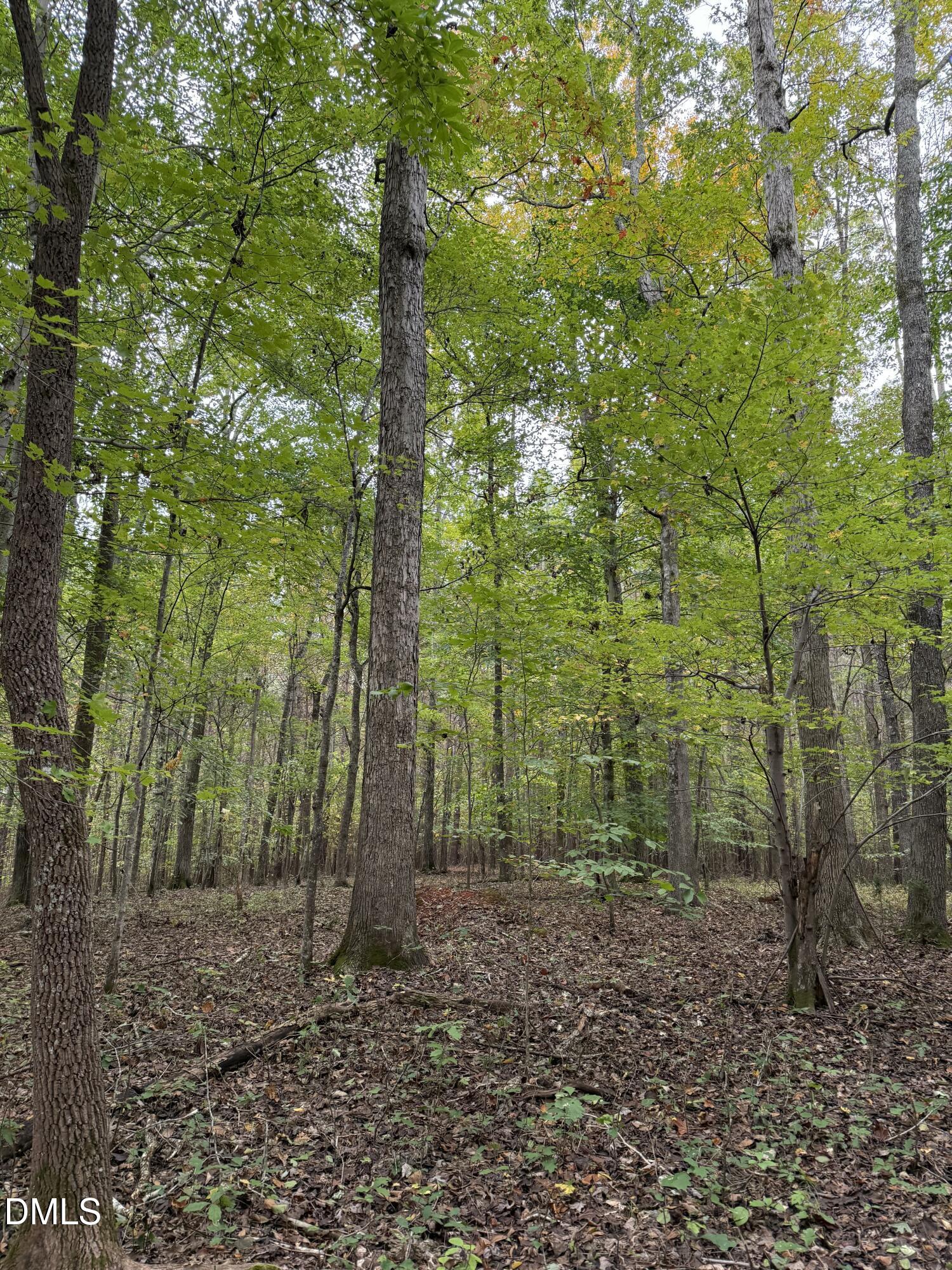 0 Tommie Daniel Road Oxford, NC 27565 - Photo 30 of 72 IMG_2165