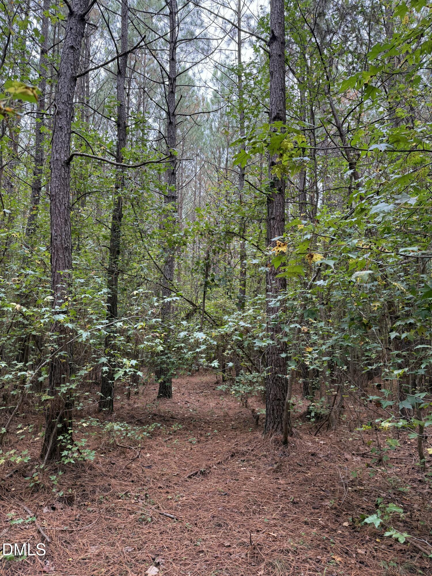 0 Tommie Daniel Road Oxford, NC 27565 - Photo 31 of 72 IMG_2169