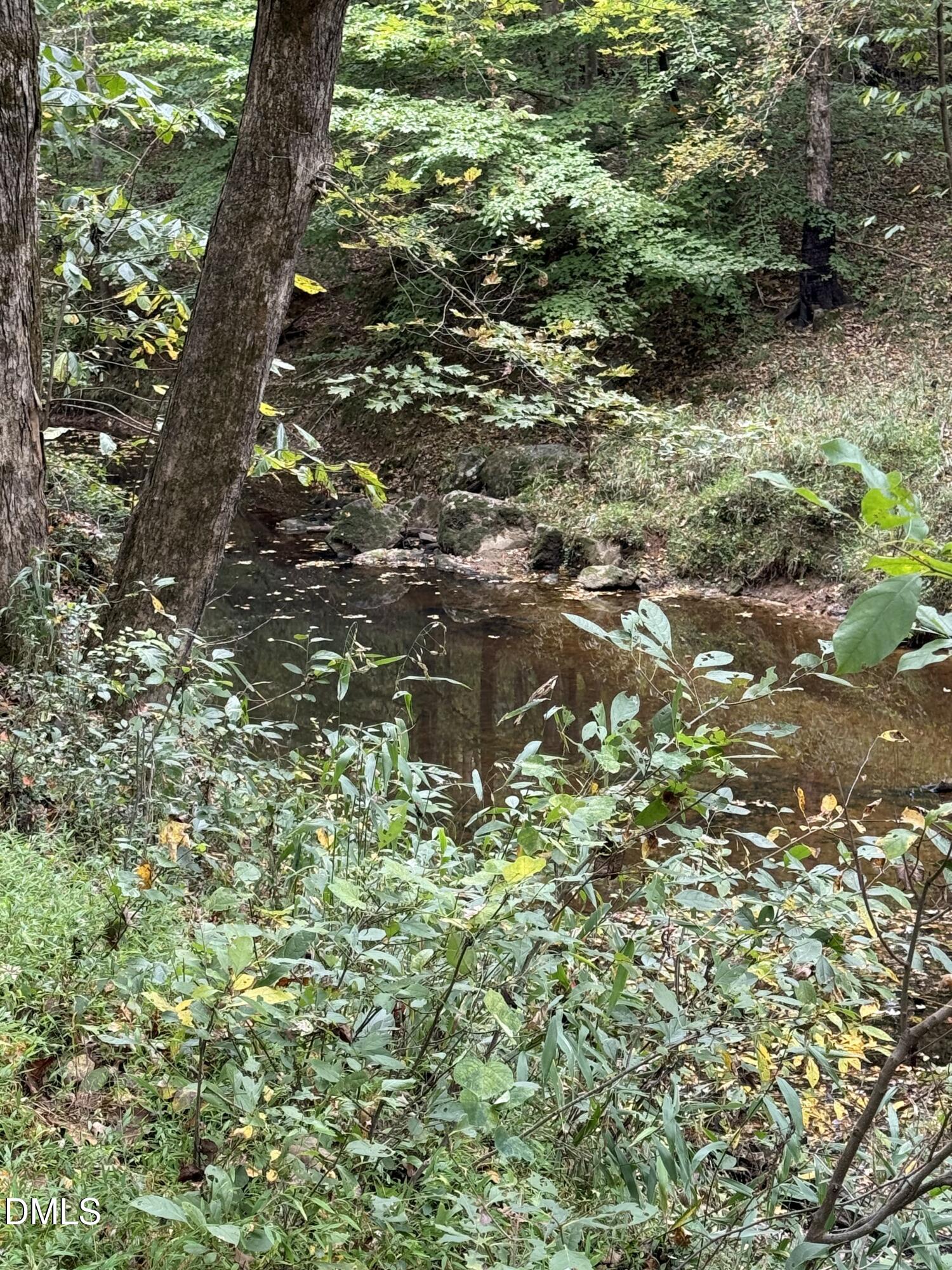 0 Tommie Daniel Road Oxford, NC 27565 - Photo 33 of 72 IMG_2161