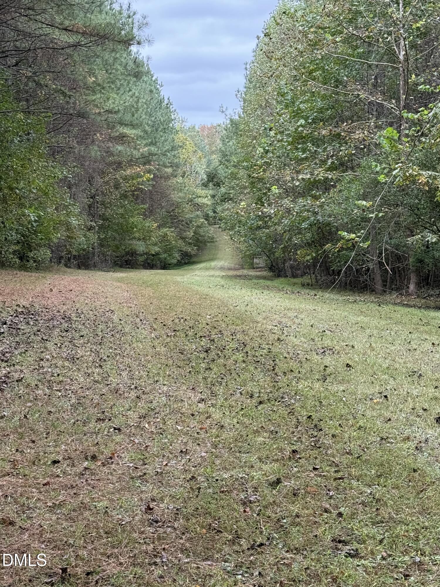 0 Tommie Daniel Road Oxford, NC 27565 - Photo 34 of 72 a view of a yard with a house