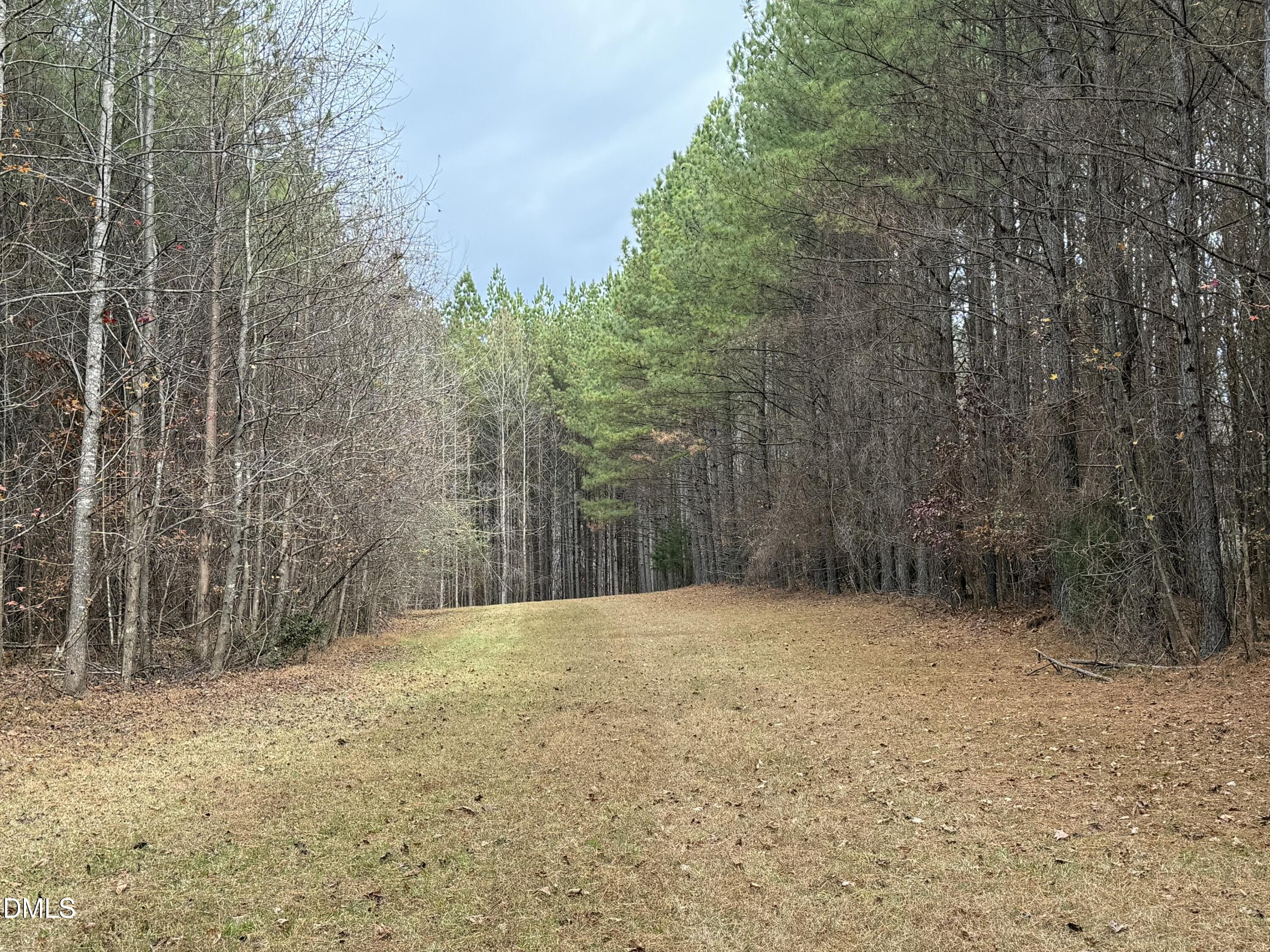 0 Tommie Daniel Road Oxford, NC 27565 - Photo 35 of 72 a view of a yard with trees