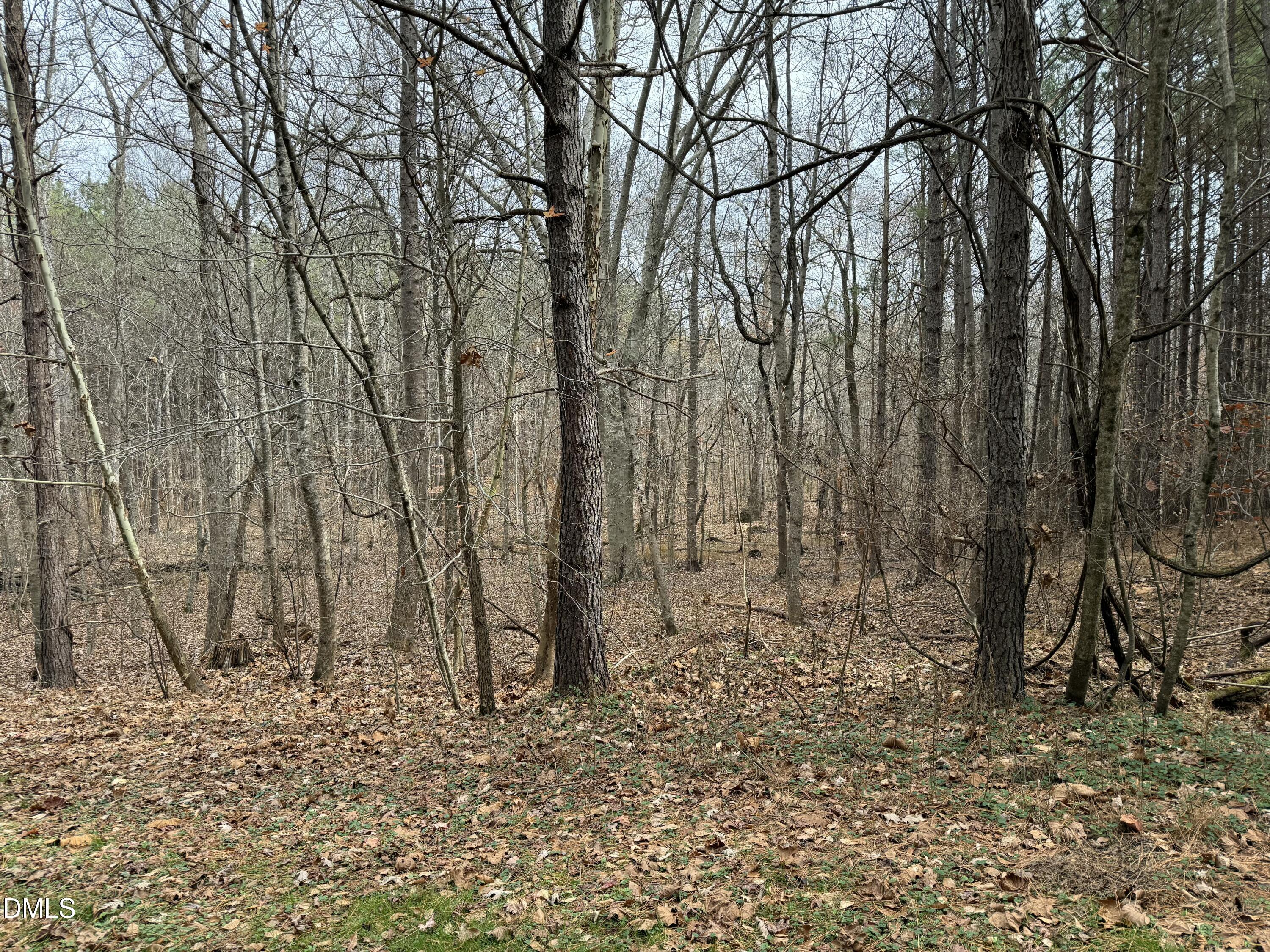 0 Tommie Daniel Road Oxford, NC 27565 - Photo 36 of 72 a backyard of a house with lots of green space