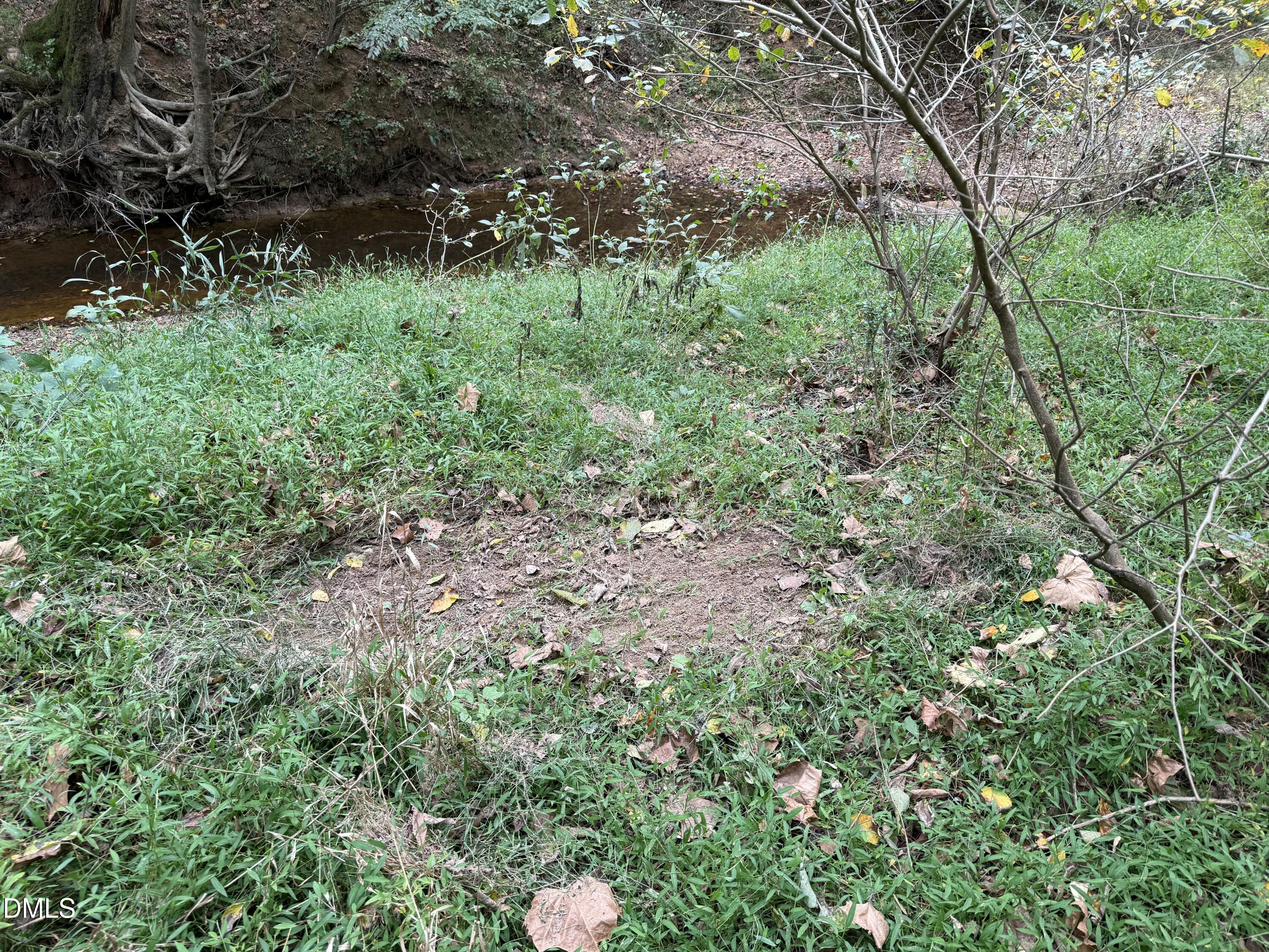 0 Tommie Daniel Road Oxford, NC 27565 - Photo 37 of 72 a view of a lush green forest