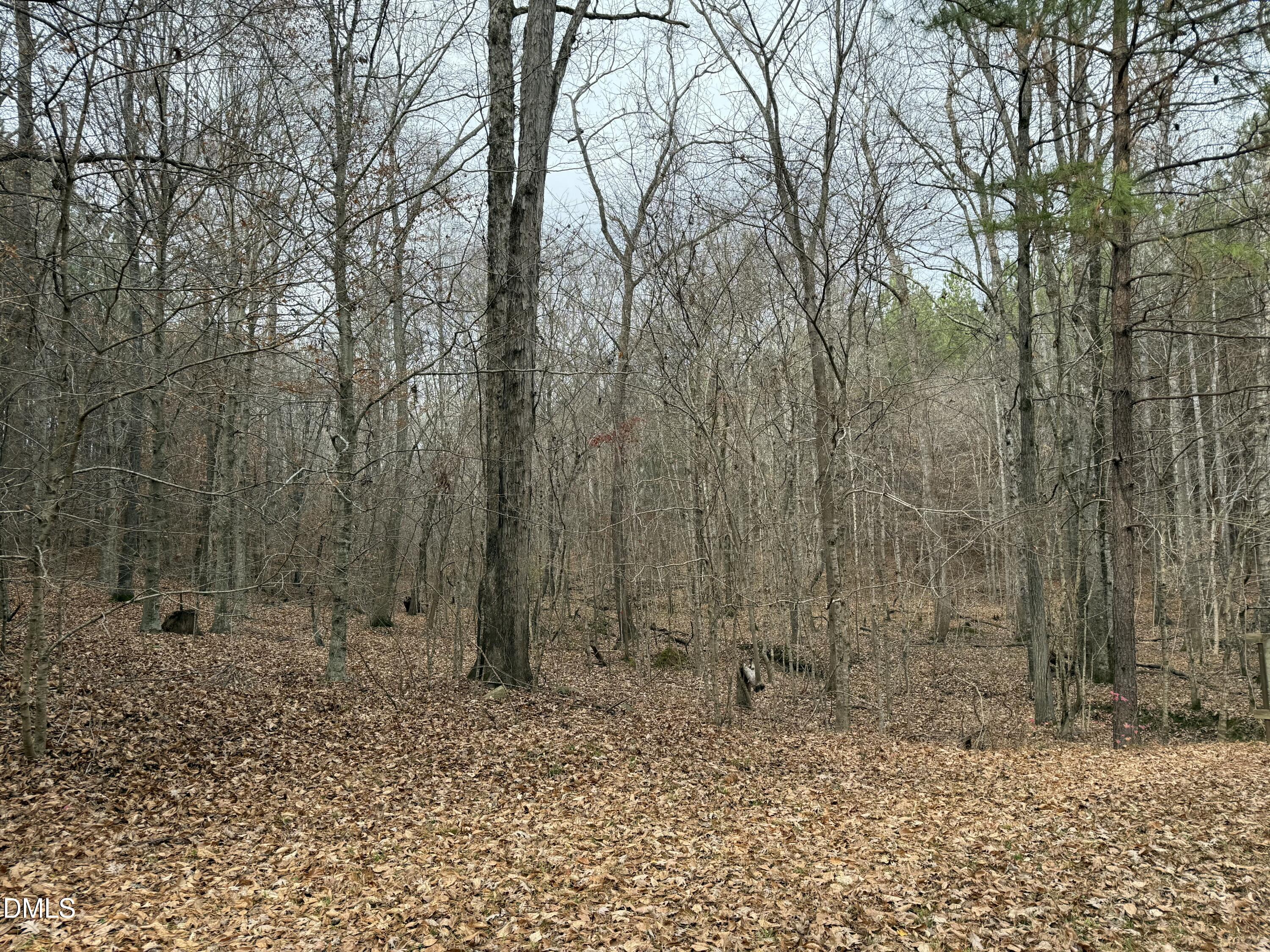 0 Tommie Daniel Road Oxford, NC 27565 - Photo 39 of 72 a backyard of a house with lots of green space