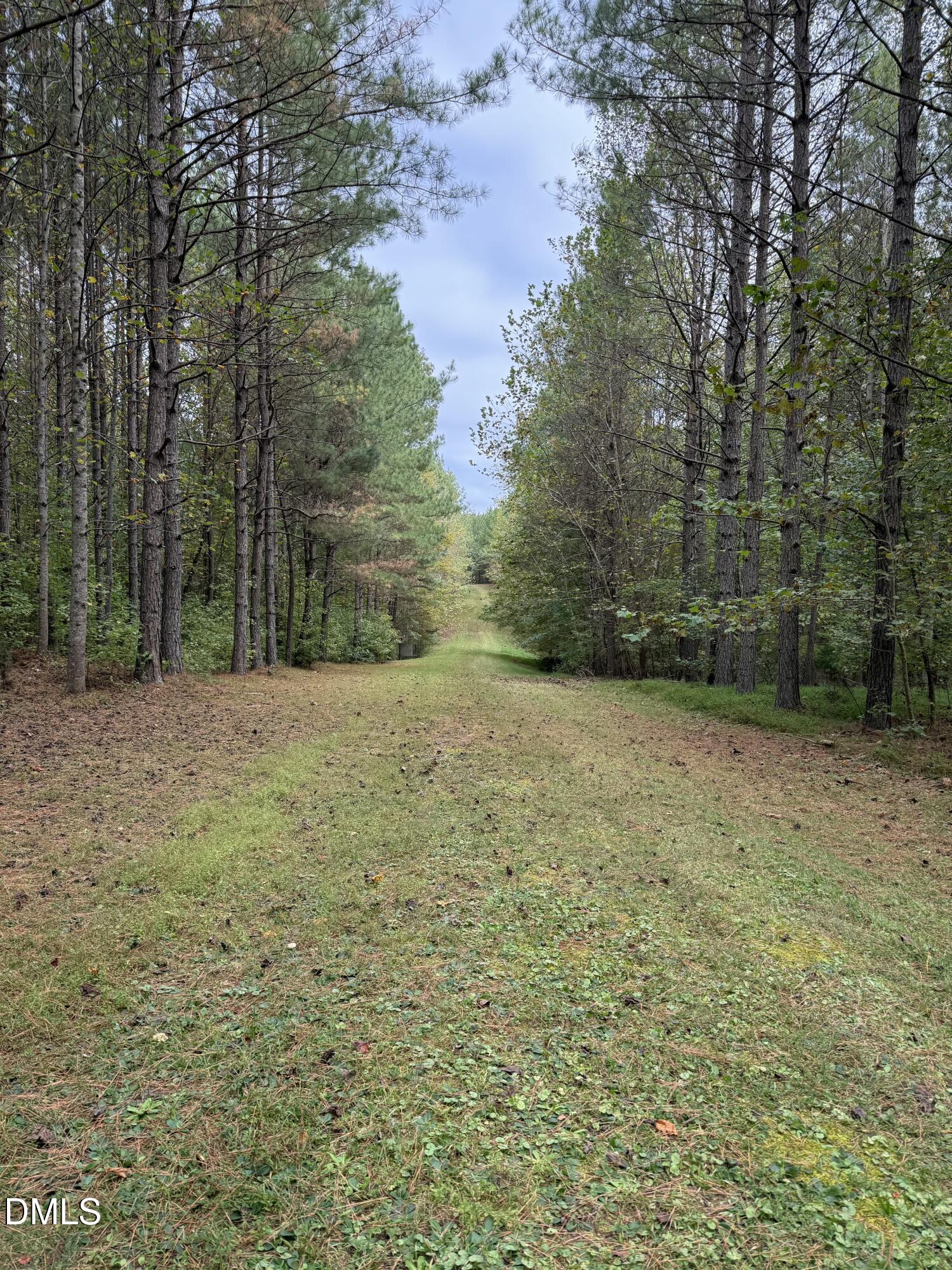 0 Tommie Daniel Road Oxford, NC 27565 - Photo 41 of 72 IMG_2155