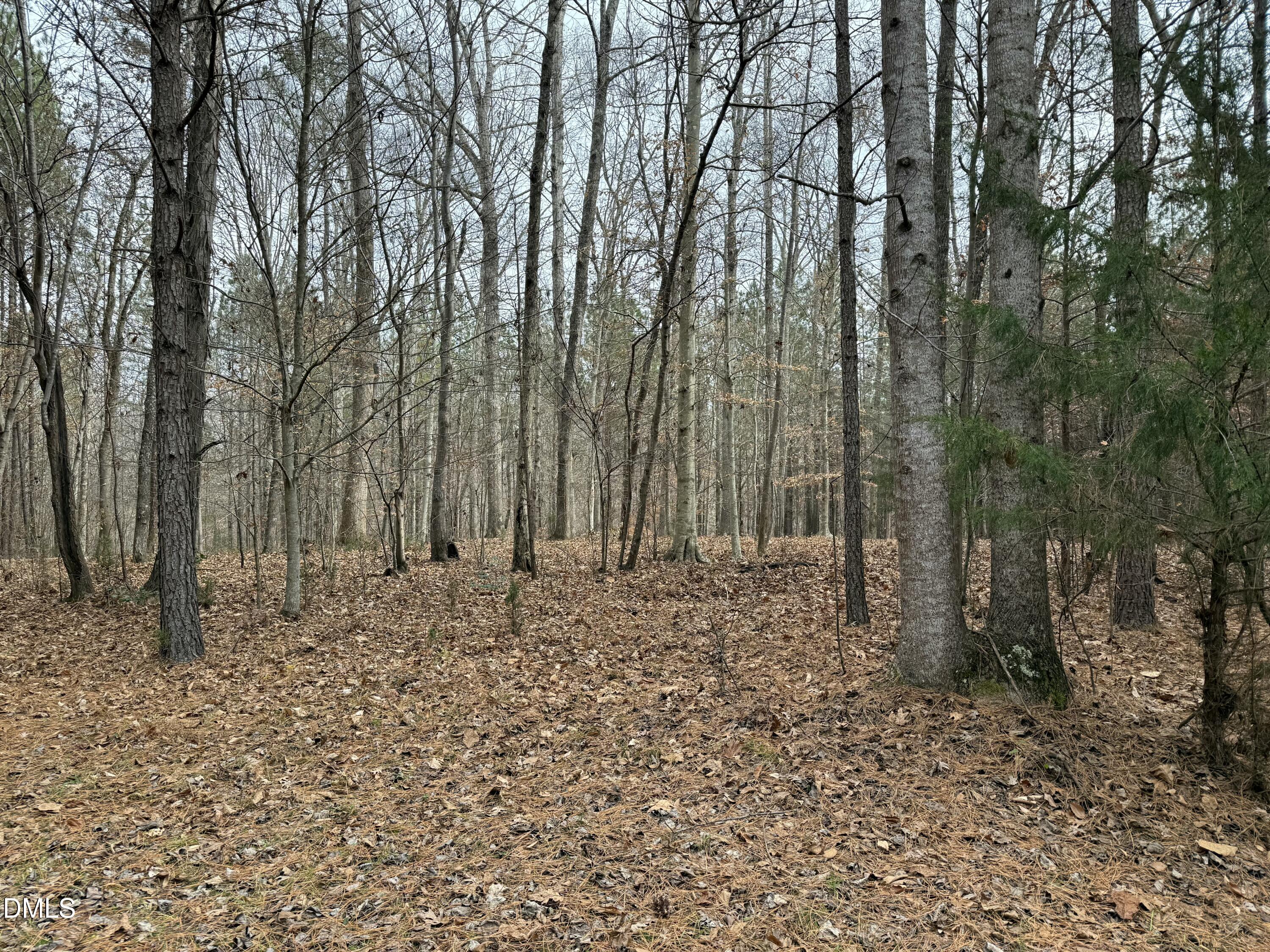 0 Tommie Daniel Road Oxford, NC 27565 - Photo 42 of 72 a view of a backyard of the house